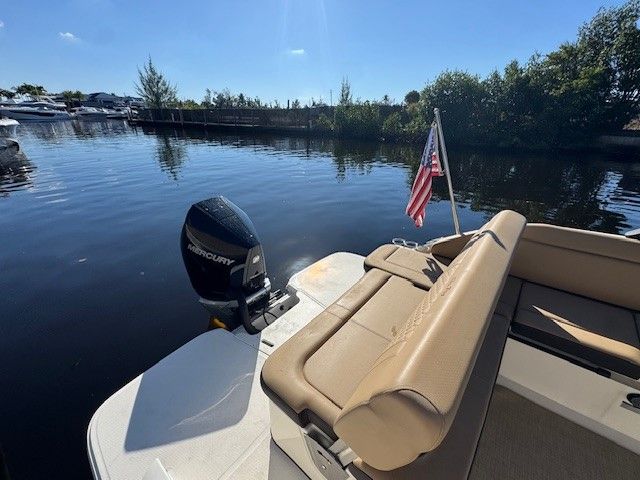 2025 Sea Ray 250 SD-OB Image Thumbnail #4