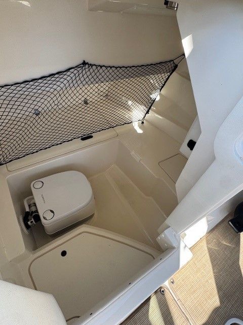 2025 Sea Ray 250 SD-OB Image Thumbnail #9