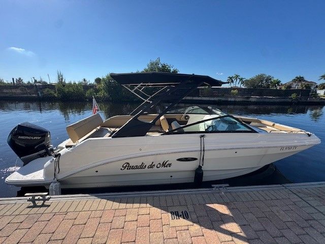 2025 Sea Ray 250 SD-OB Image Thumbnail #10
