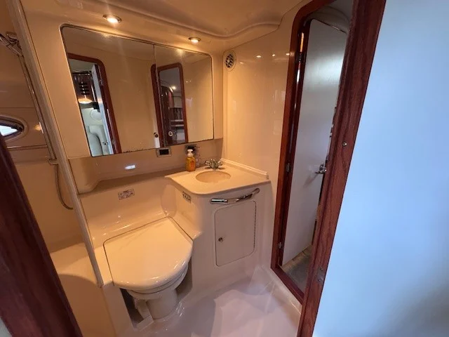 2002 Sea Ray 460 SUNDANCER Image Thumbnail #19