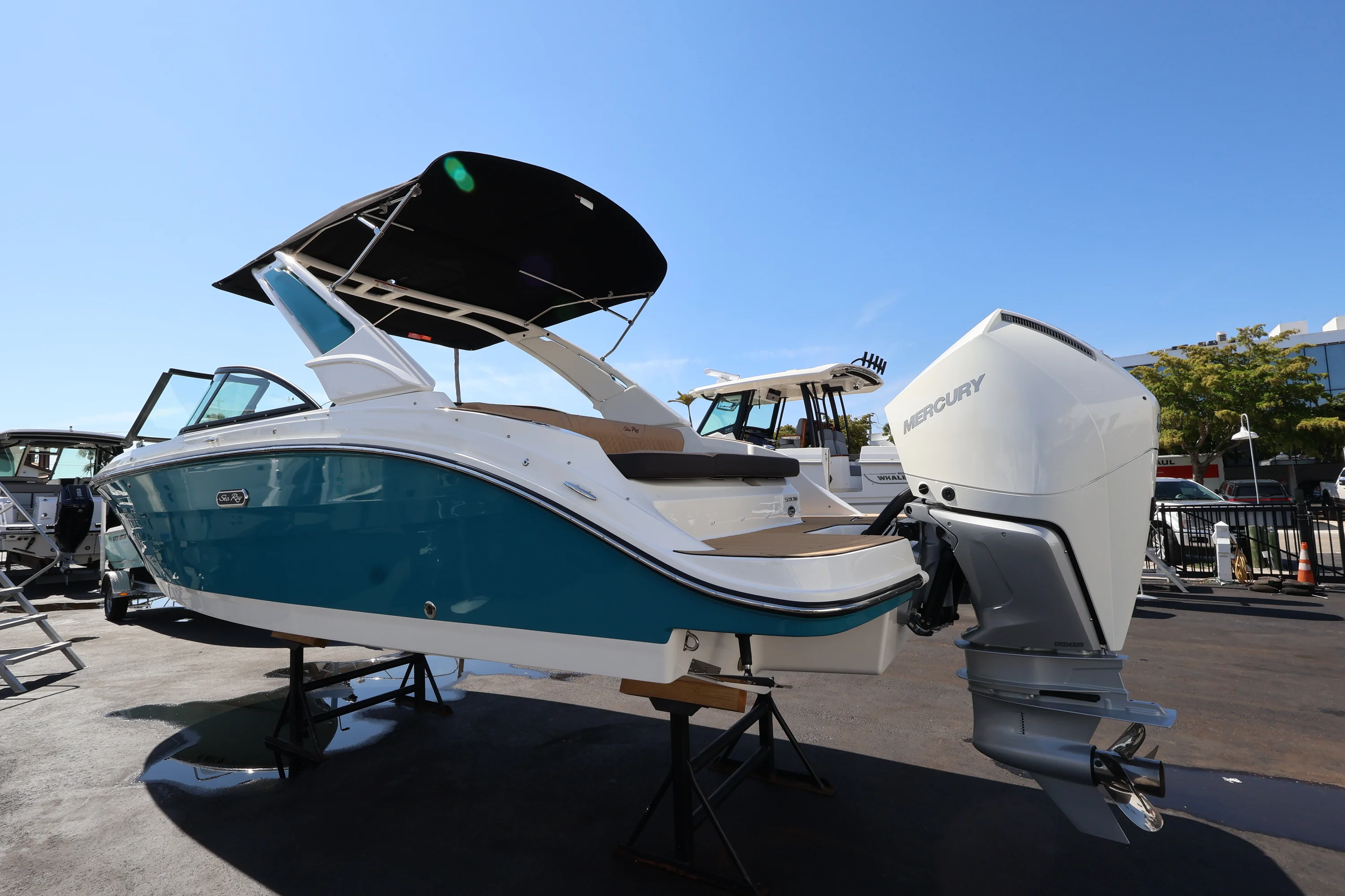 2026 Sea Ray SDX 230 Outboard Image Thumbnail #3