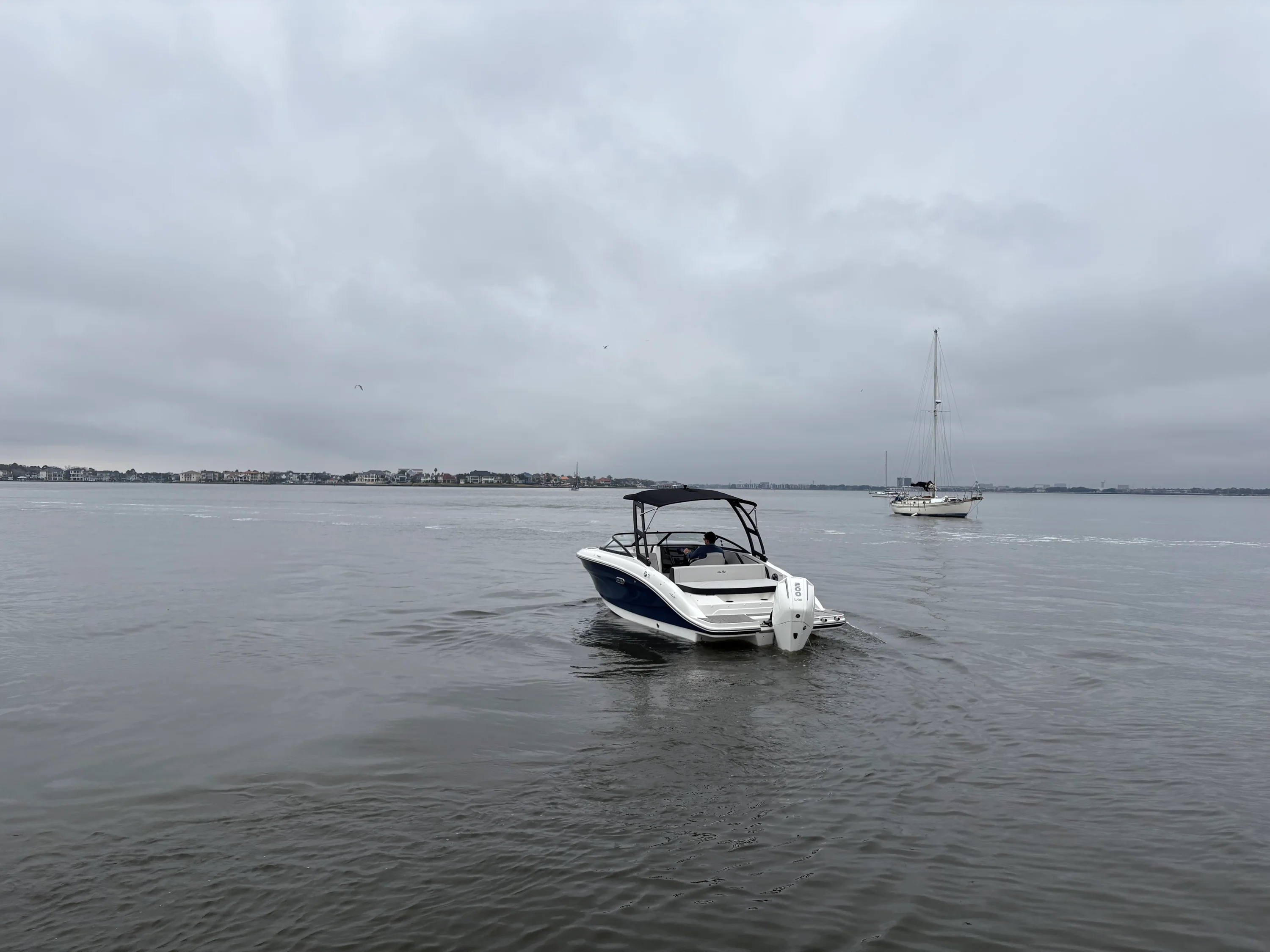 2026 Sea Ray SPX 210 Outboard Image Thumbnail #10