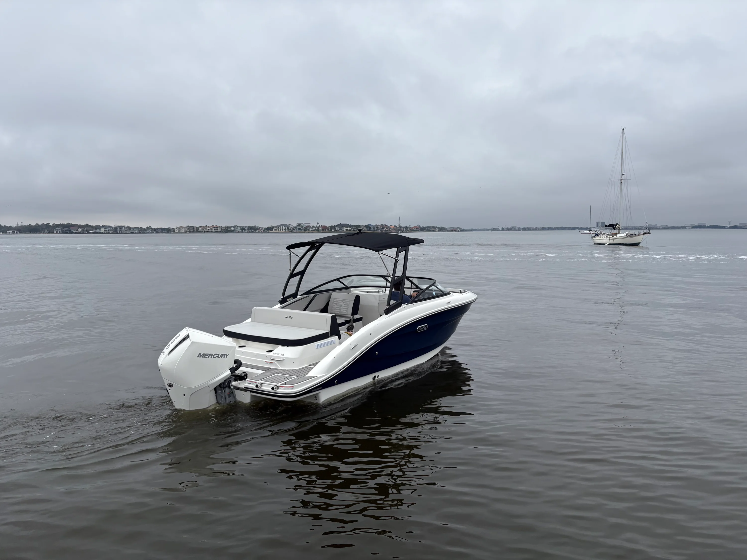 2026 Sea Ray SPX 210 Outboard Image Thumbnail #4