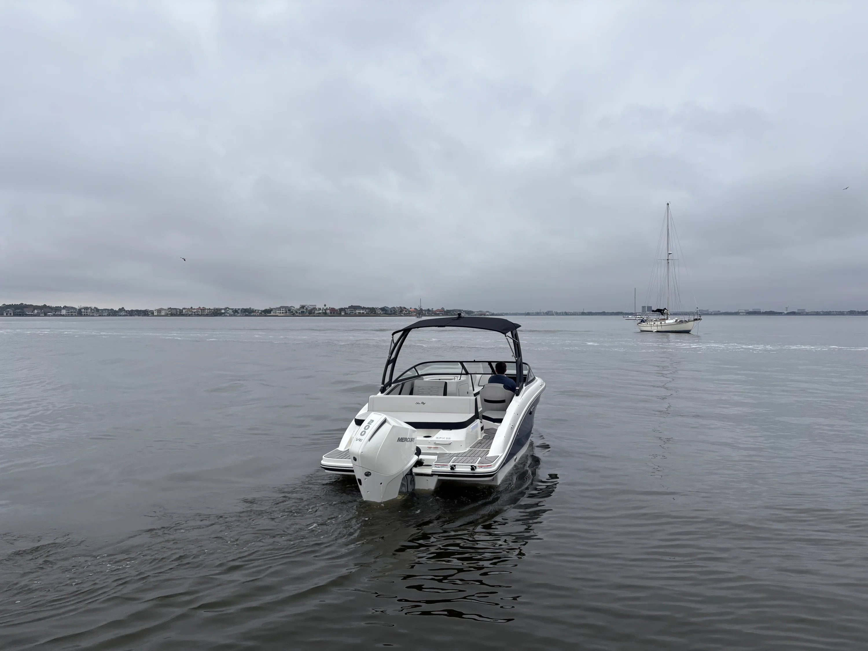 2026 Sea Ray SPX 210 Outboard Image Thumbnail #2