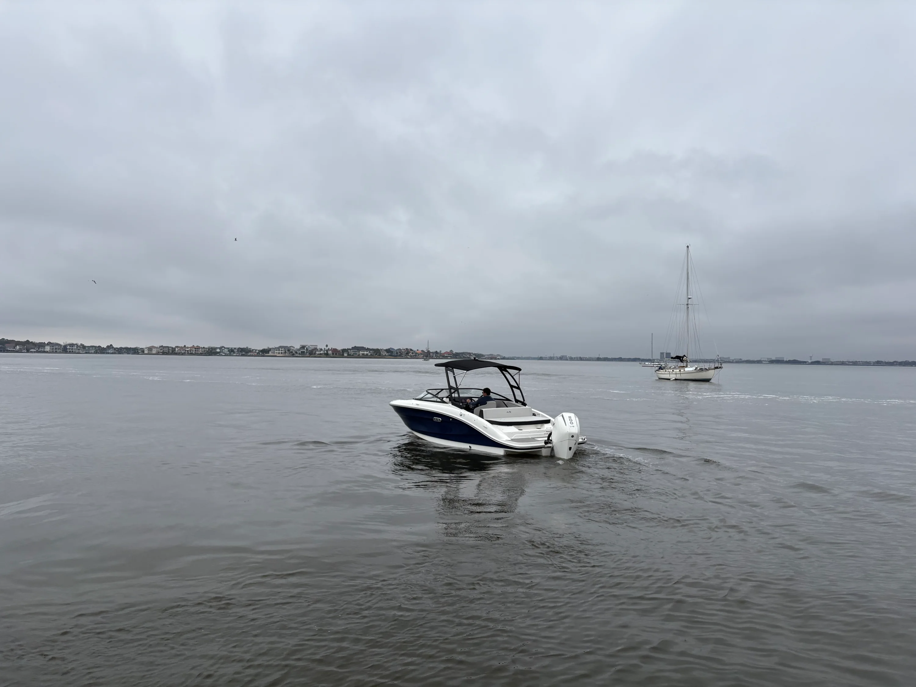 2026 Sea Ray SPX 210 Outboard Image Thumbnail #9