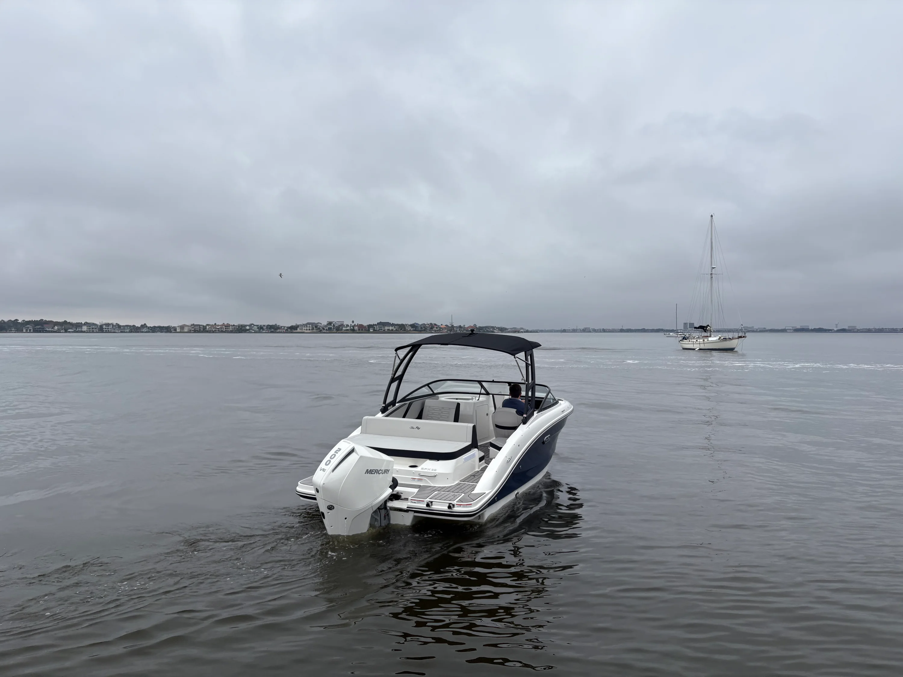 2026 Sea Ray SPX 210 Outboard Image Thumbnail #3