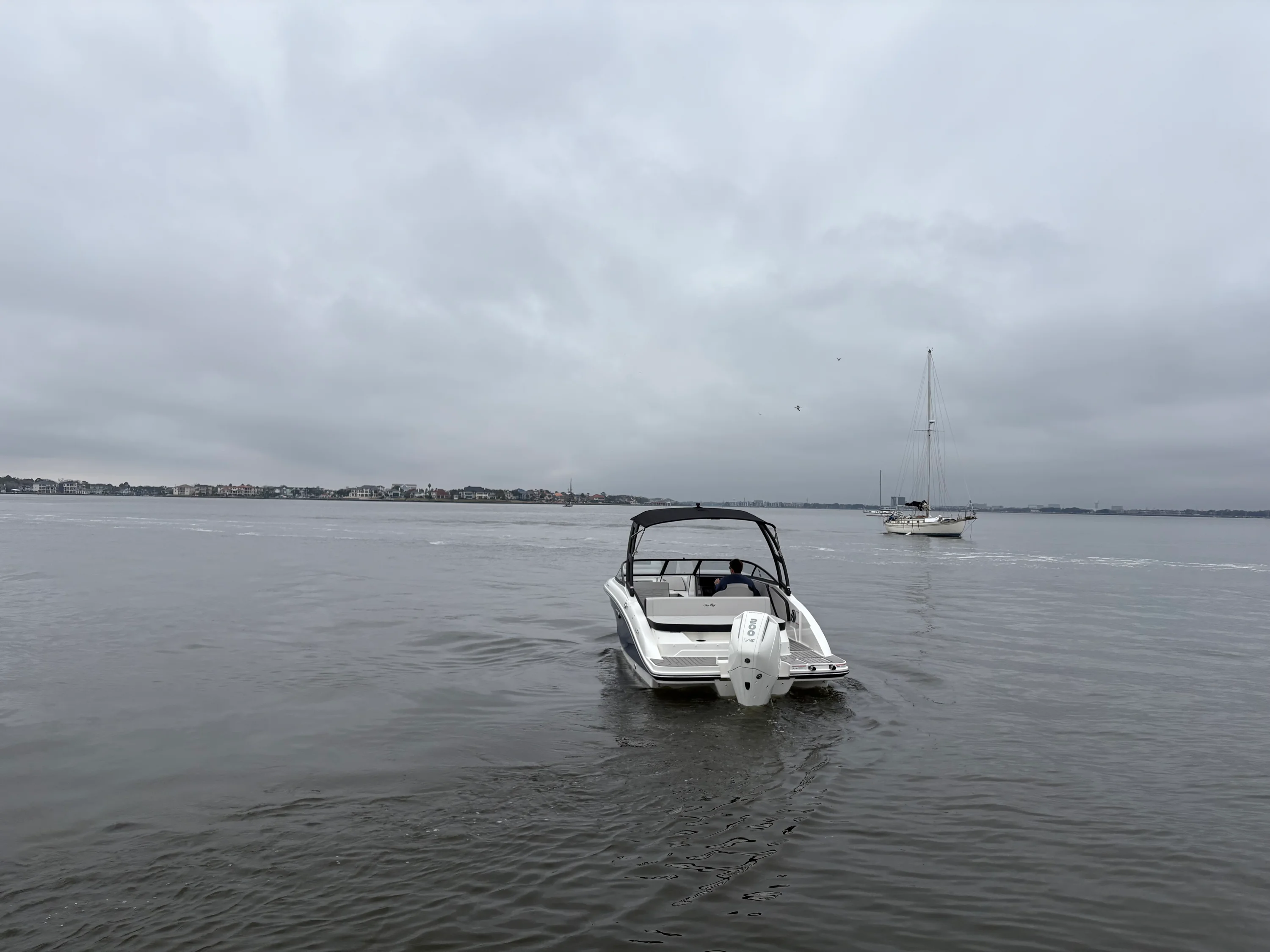 2026 Sea Ray SPX 210 Outboard Image Thumbnail #11