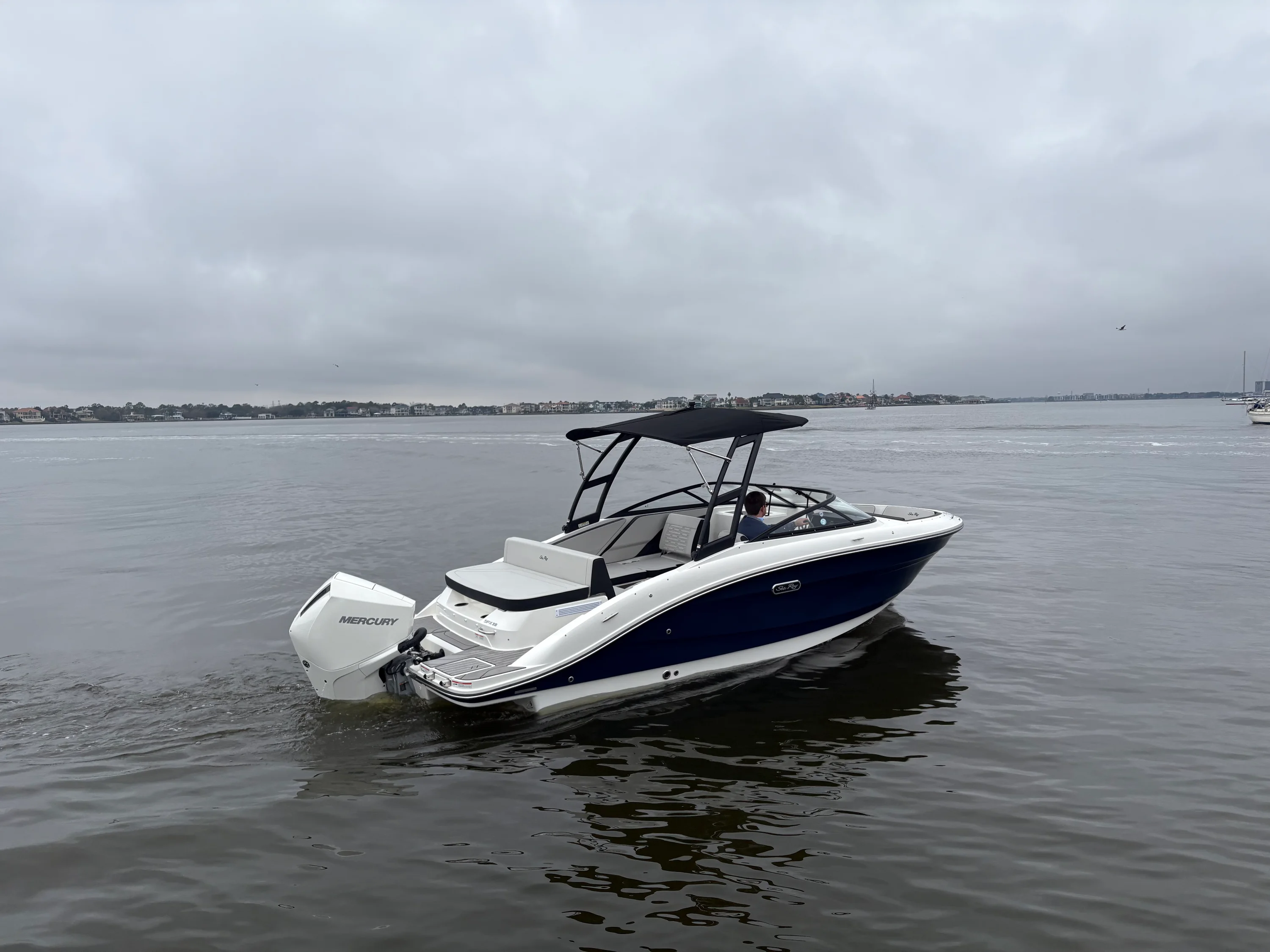2026 Sea Ray SPX 210 Outboard Image Thumbnail #5