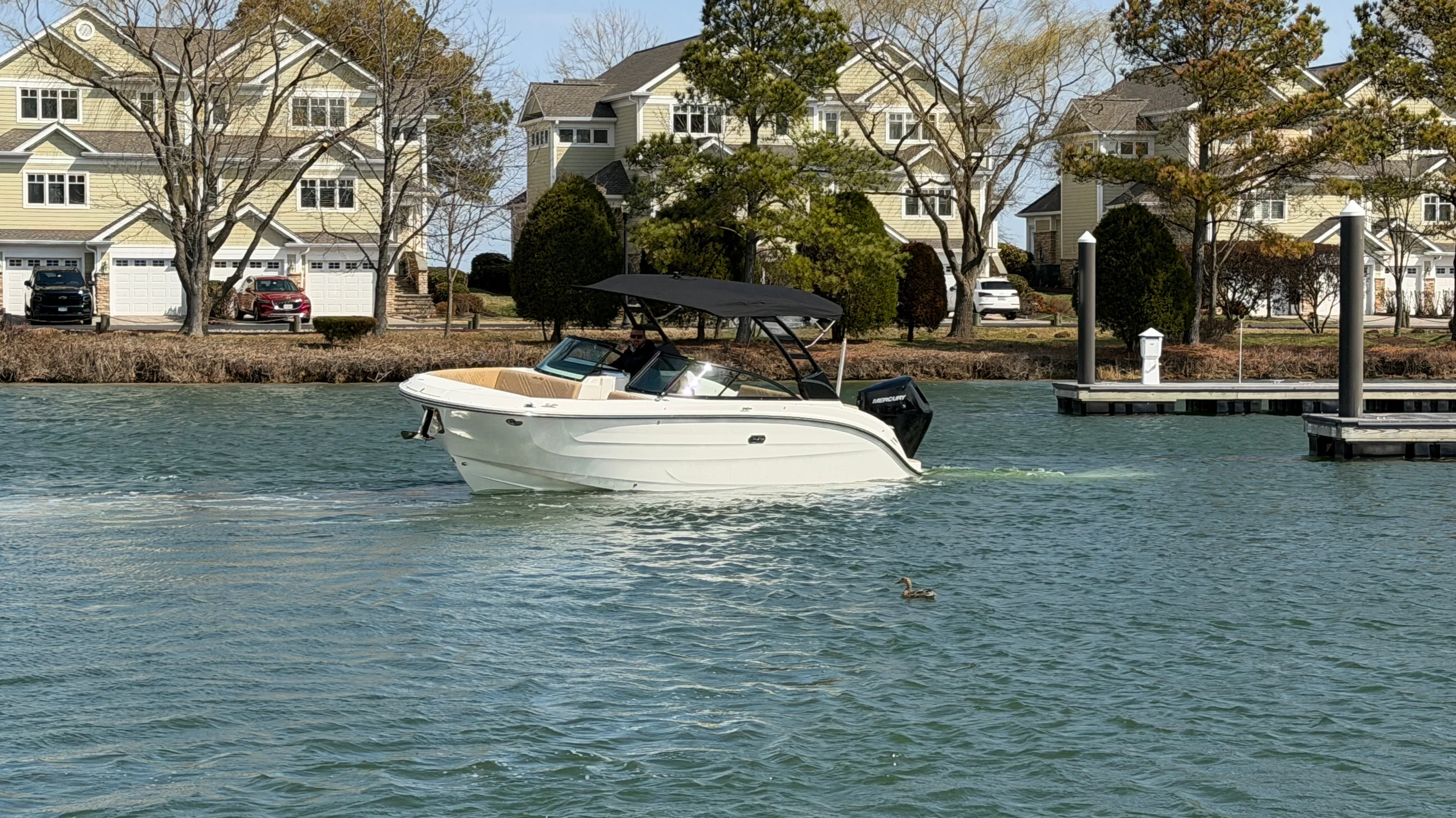 2026 Sea Ray SDX 270 Outboard Image Thumbnail #7