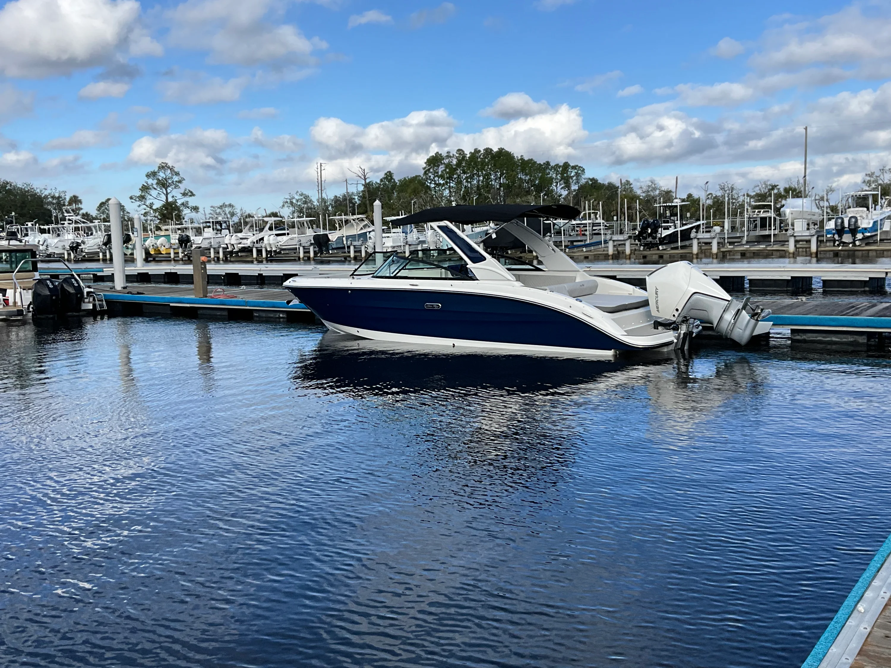 2026 Sea Ray SDX 270 Outboard Image Thumbnail #2