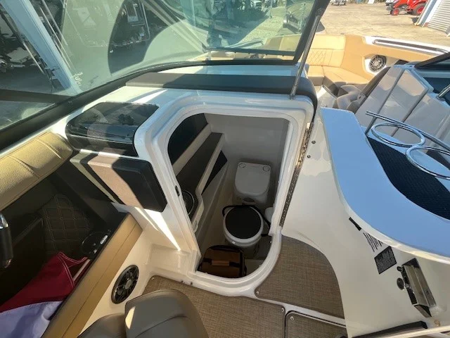 2019 Sea Ray 250 SLX Image Thumbnail #19