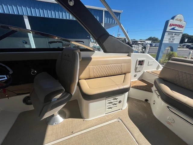 2019 Sea Ray 250 SLX Image Thumbnail #10