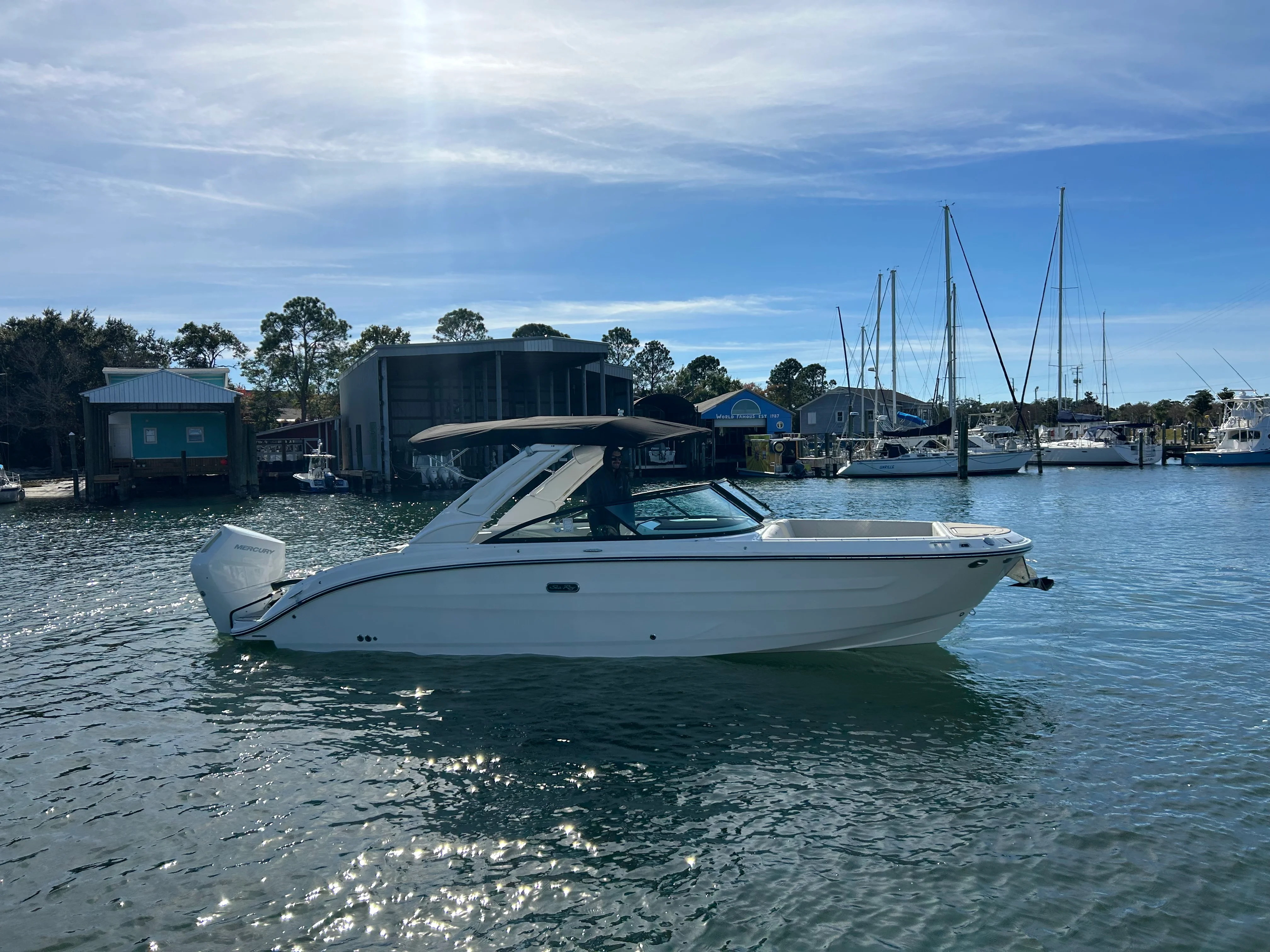 2026 Sea Ray SDX 270 Outboard Image Thumbnail #4