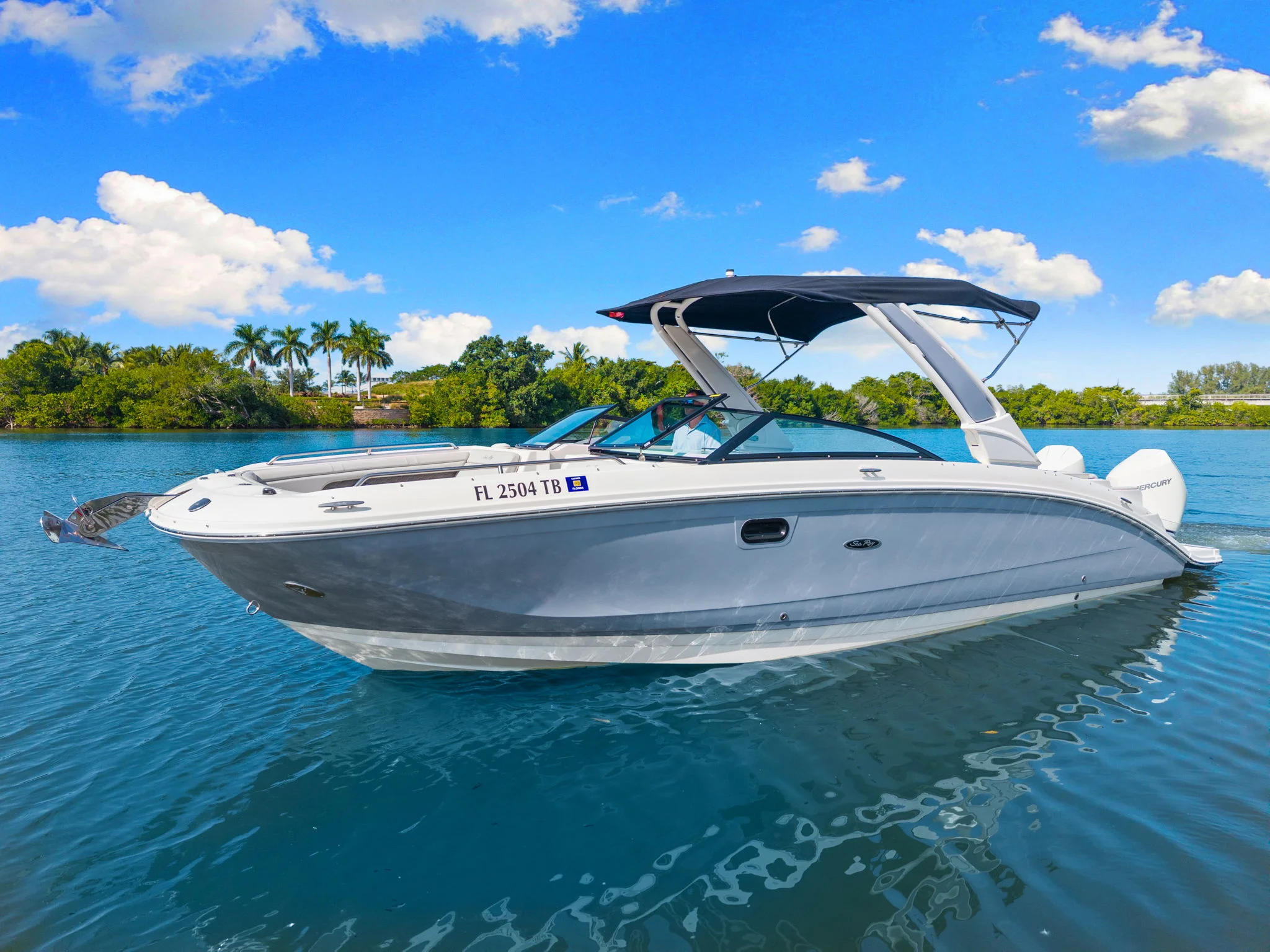 2021 Sea Ray 290 SDX OUTBOARD Image Thumbnail #3