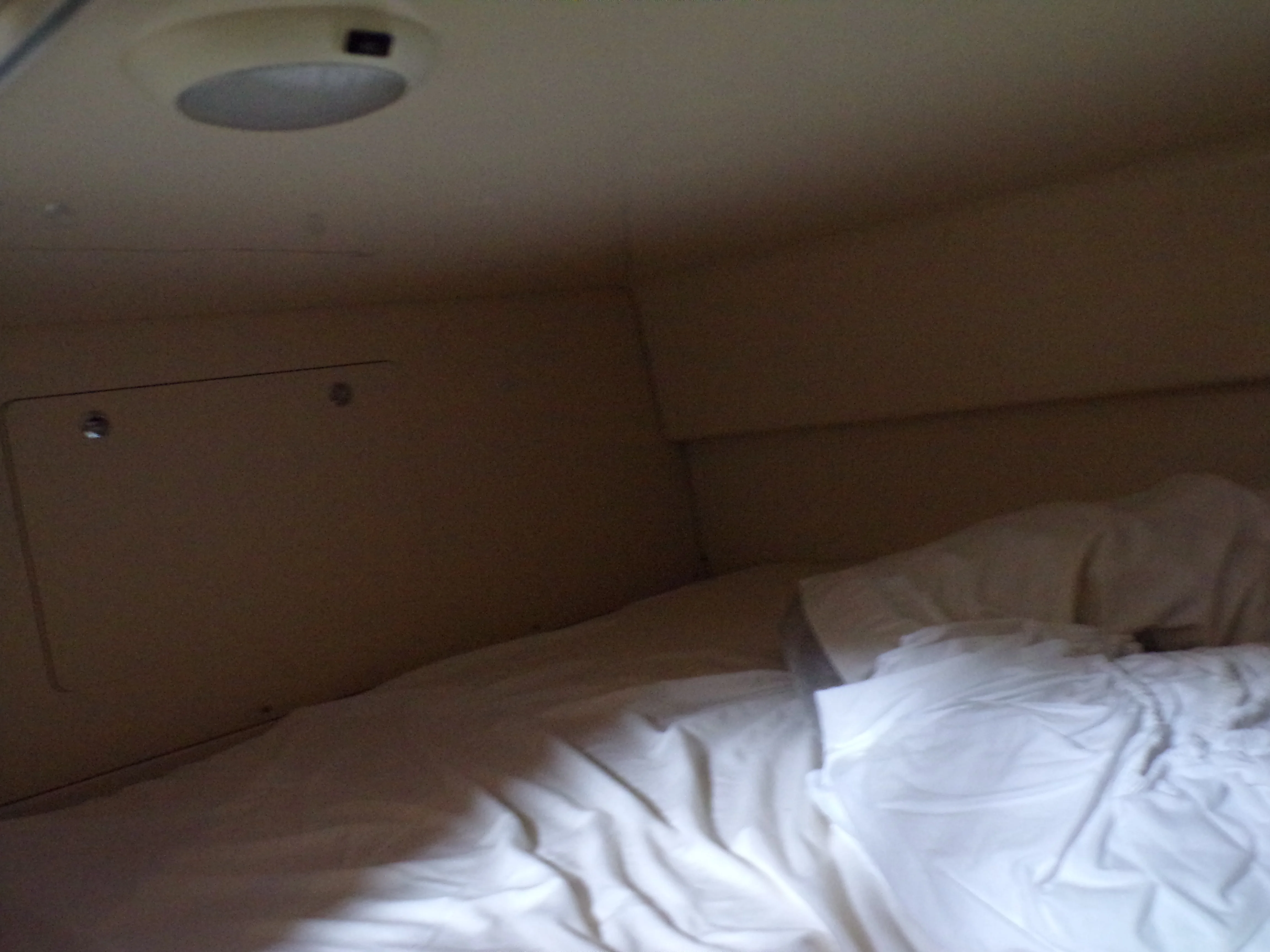 2014 Boston Whaler 315 CONQUEST Image Thumbnail #55