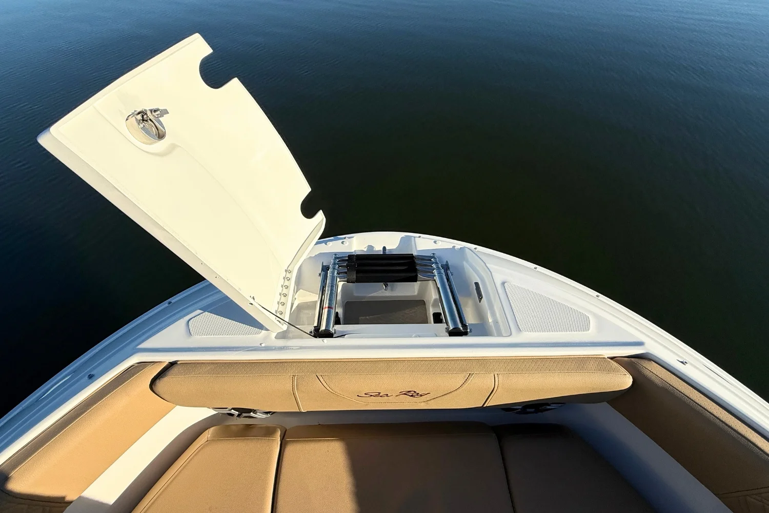 2026 Sea Ray SDX 230 Image Thumbnail #31