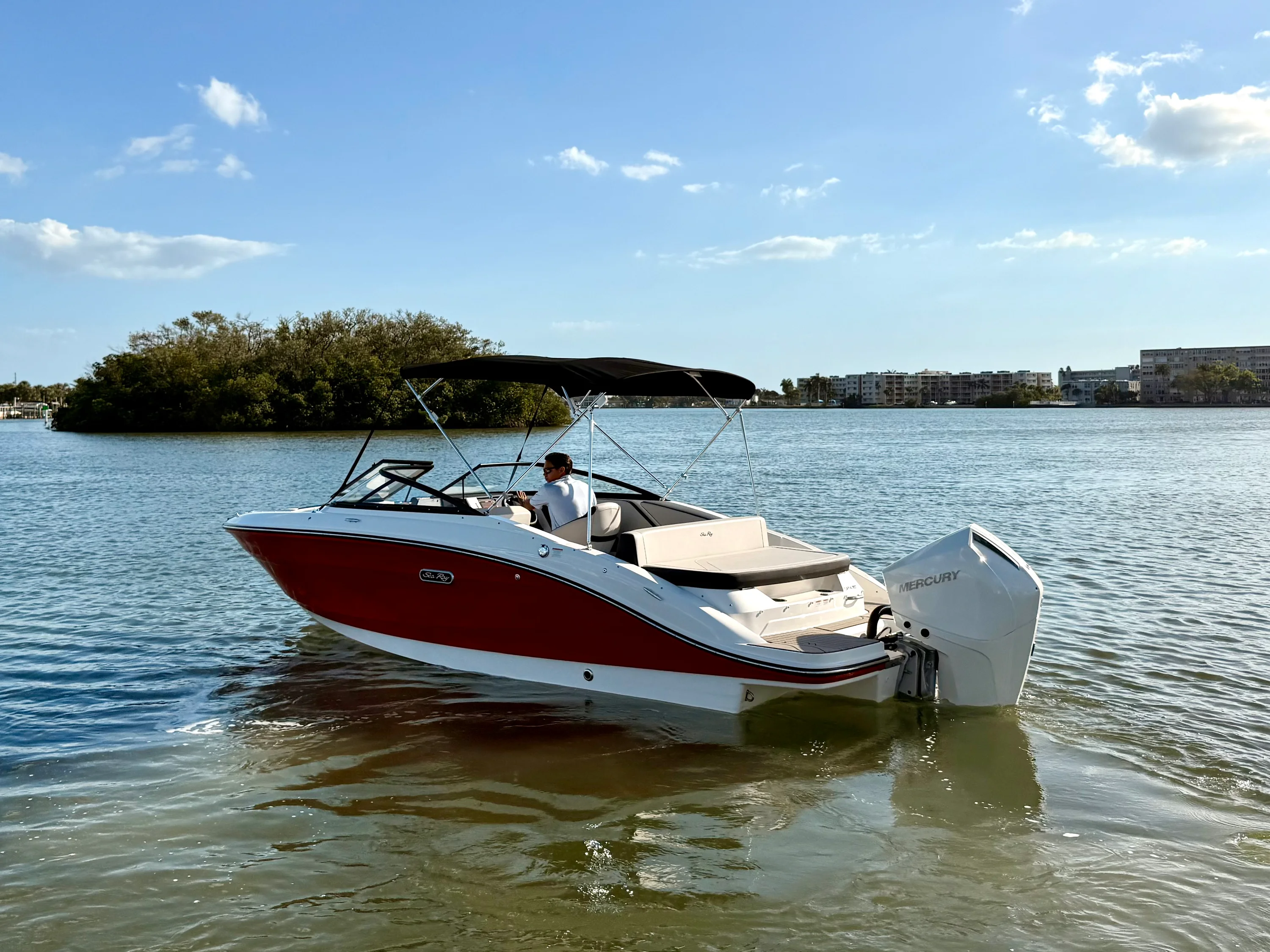 2026 Sea Ray SPX 210 Outboard Image Thumbnail #12