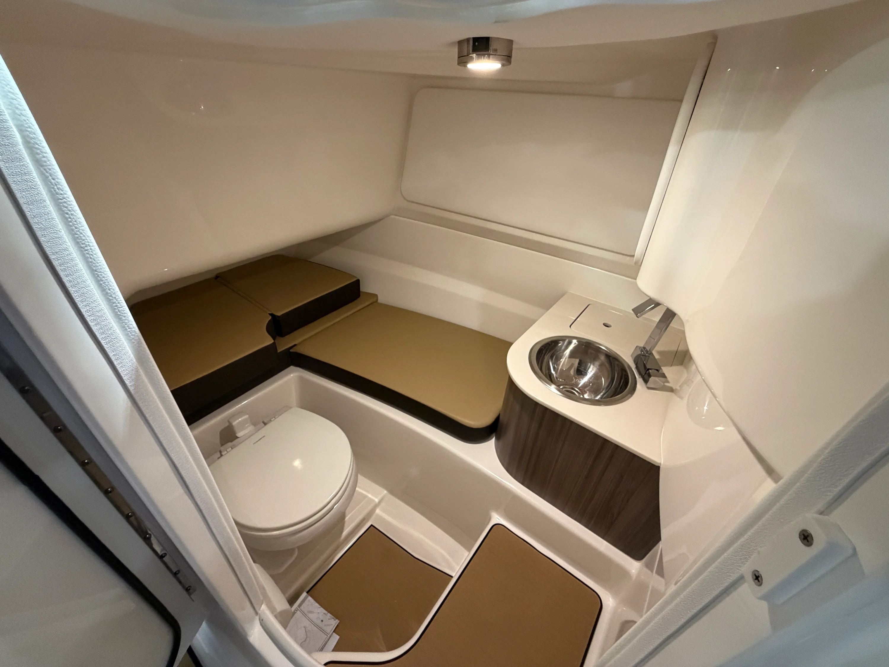 2026 Sea Ray SDX 250 Outboard Image Thumbnail #13