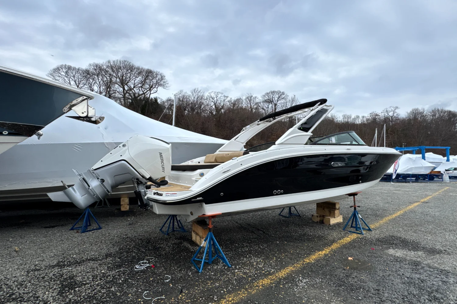 2026 Sea Ray SDX 250 Outboard Image Thumbnail #2