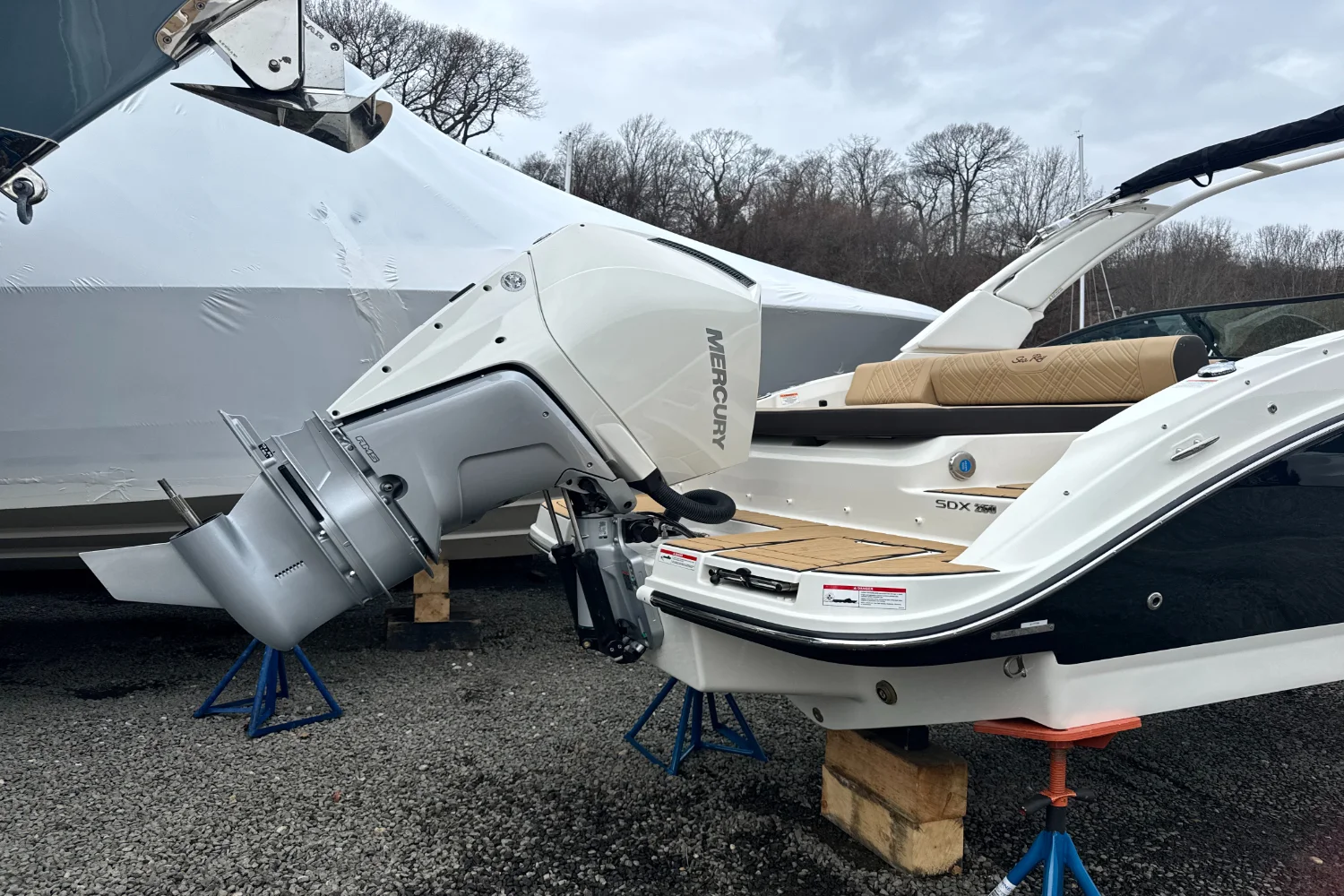 2026 Sea Ray SDX 250 Outboard Image Thumbnail #3