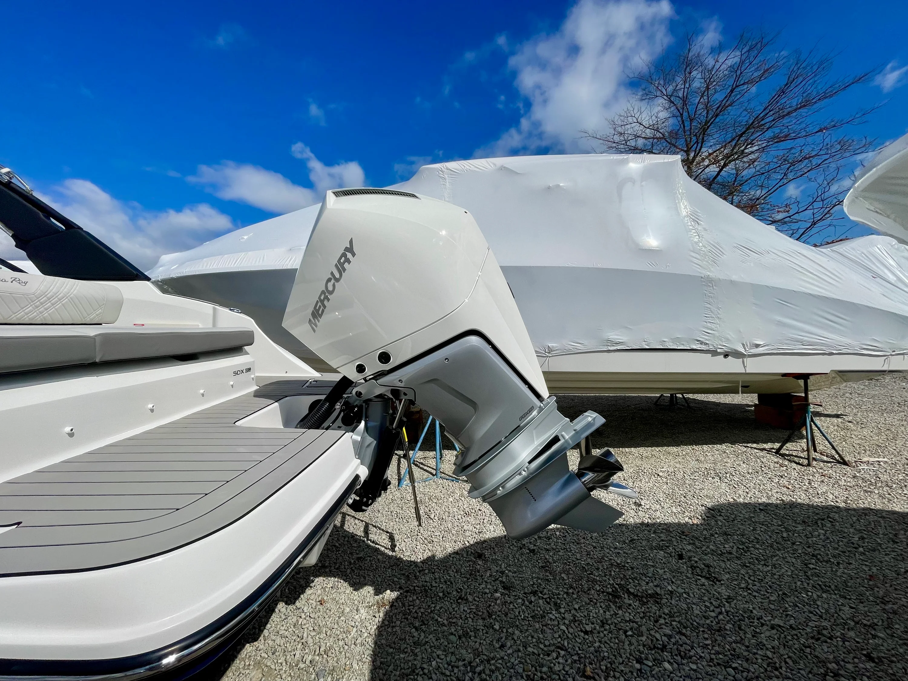 2026 Sea Ray SDX 230 Outboard Image Thumbnail #2