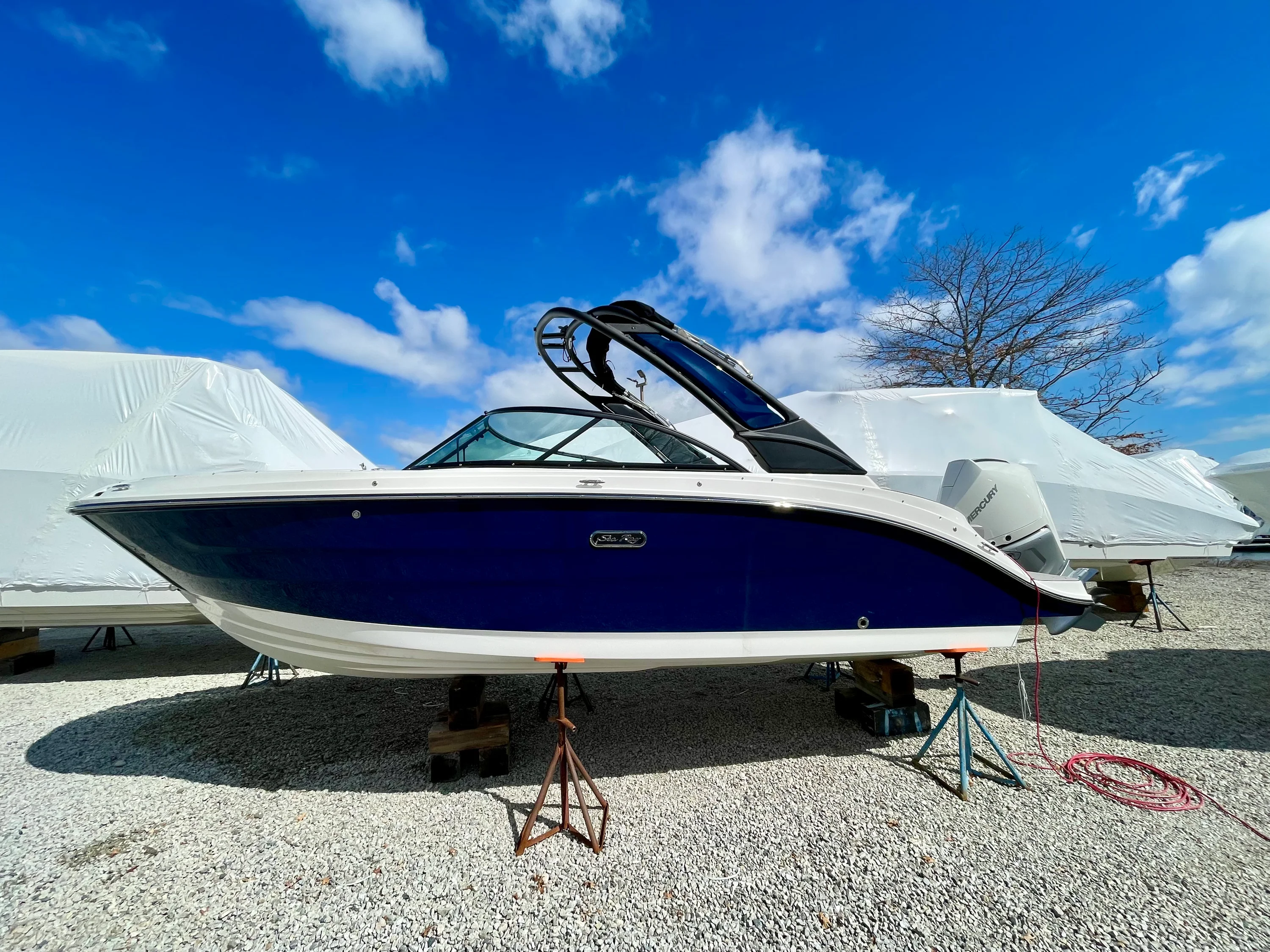 2026 Sea Ray SDX 230 Outboard Image Thumbnail #0