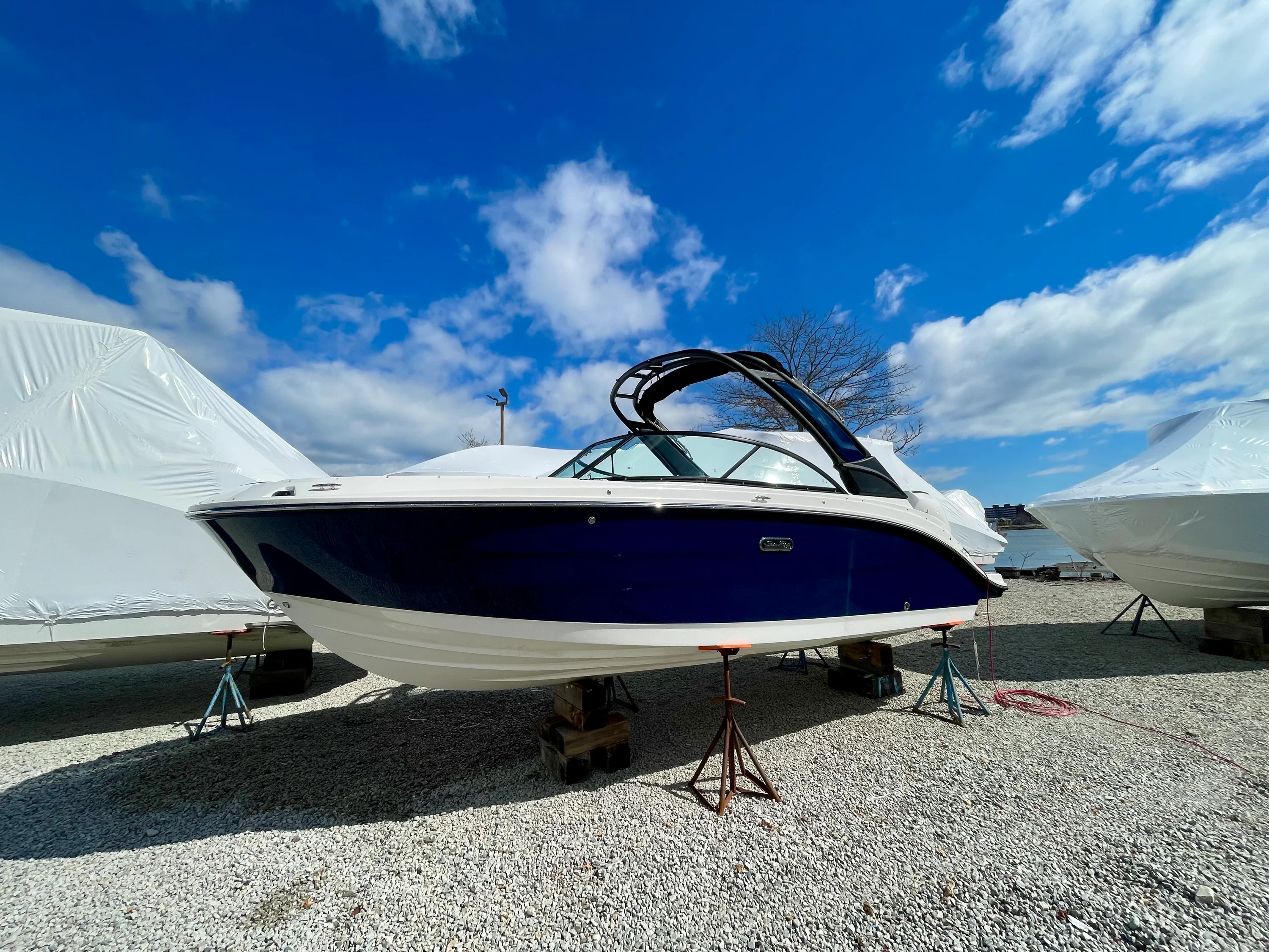 2026 Sea Ray SDX 230 Outboard Image Thumbnail #1