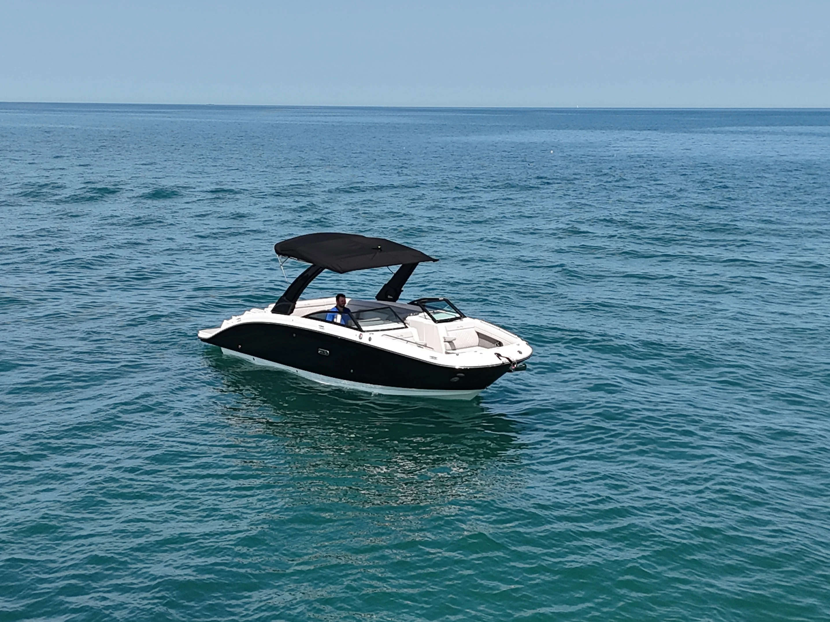 2026 Sea Ray SDX 290 Image Thumbnail #8