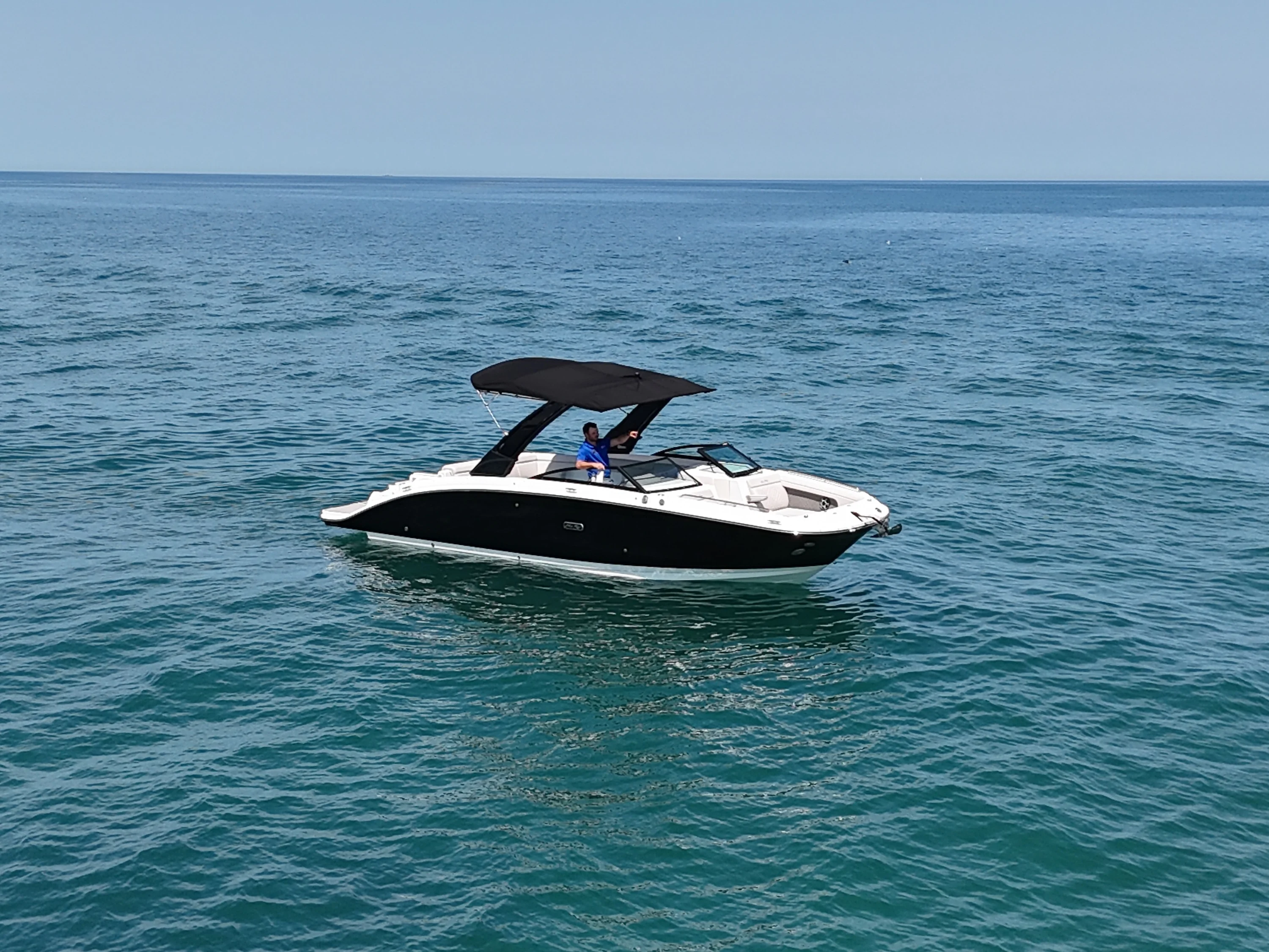 2026 Sea Ray SDX 290 Image Thumbnail #7