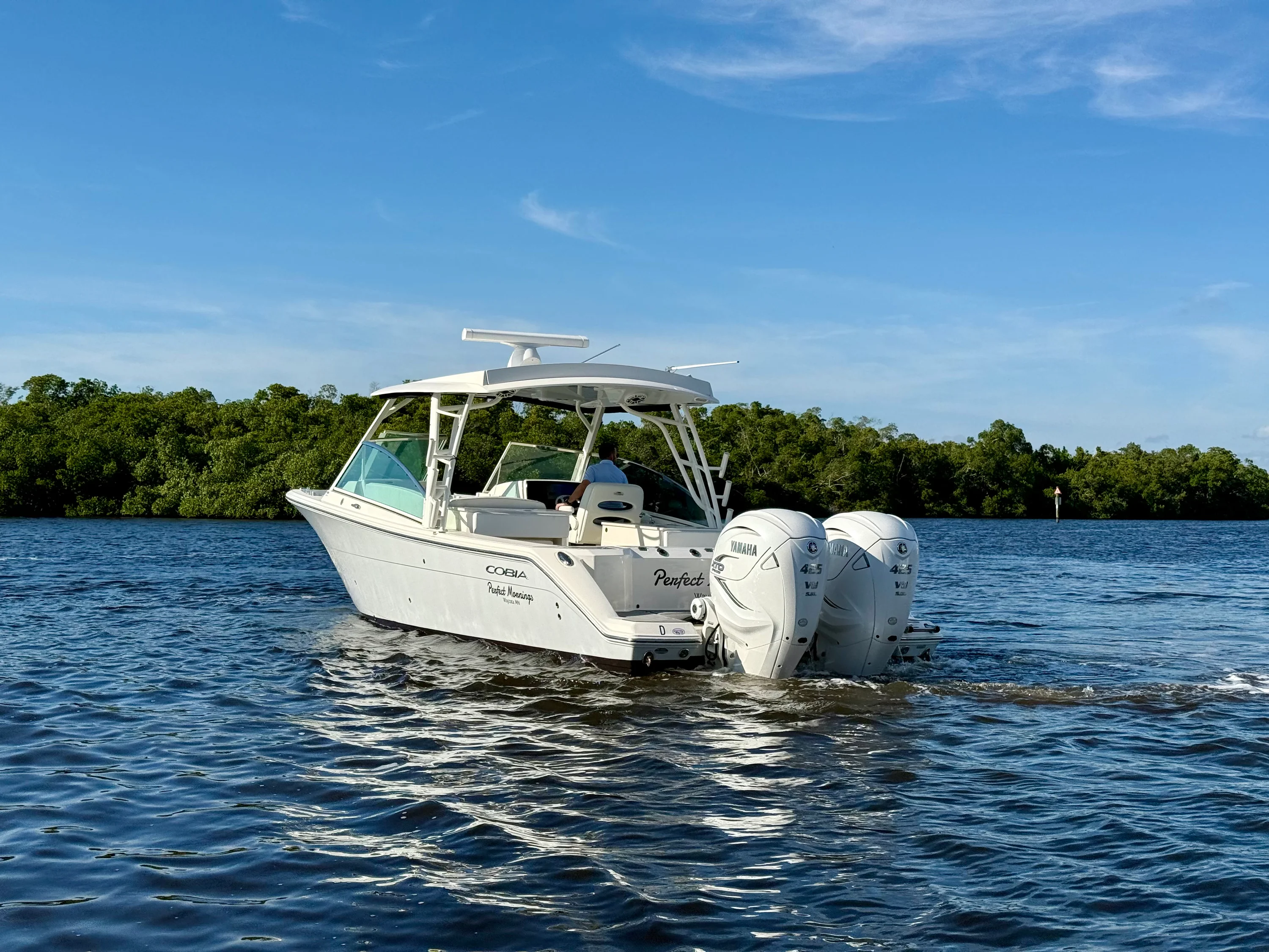 2022 Cobia 330 DUAL CONSOLE Image Thumbnail #9