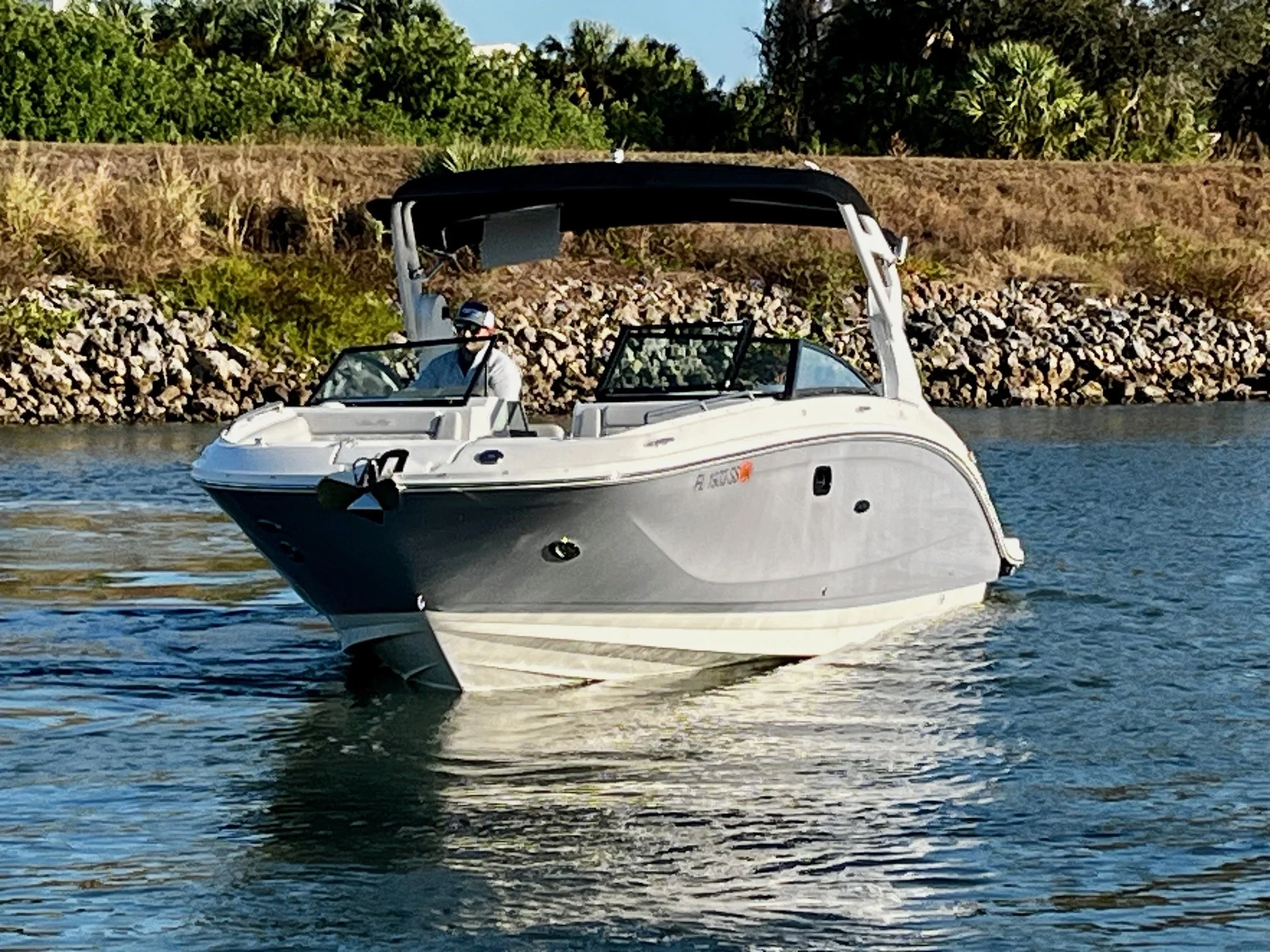 2020 Sea Ray 290 SDX-OB Image Thumbnail #3