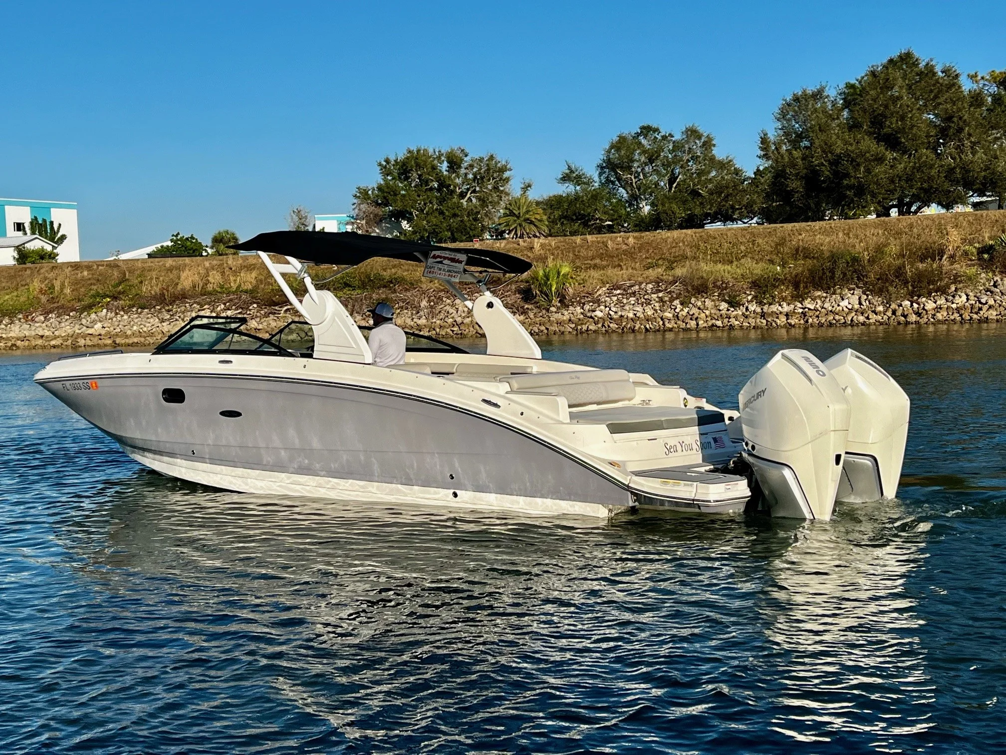 2020 Sea Ray 290 SDX-OB Image Thumbnail #1