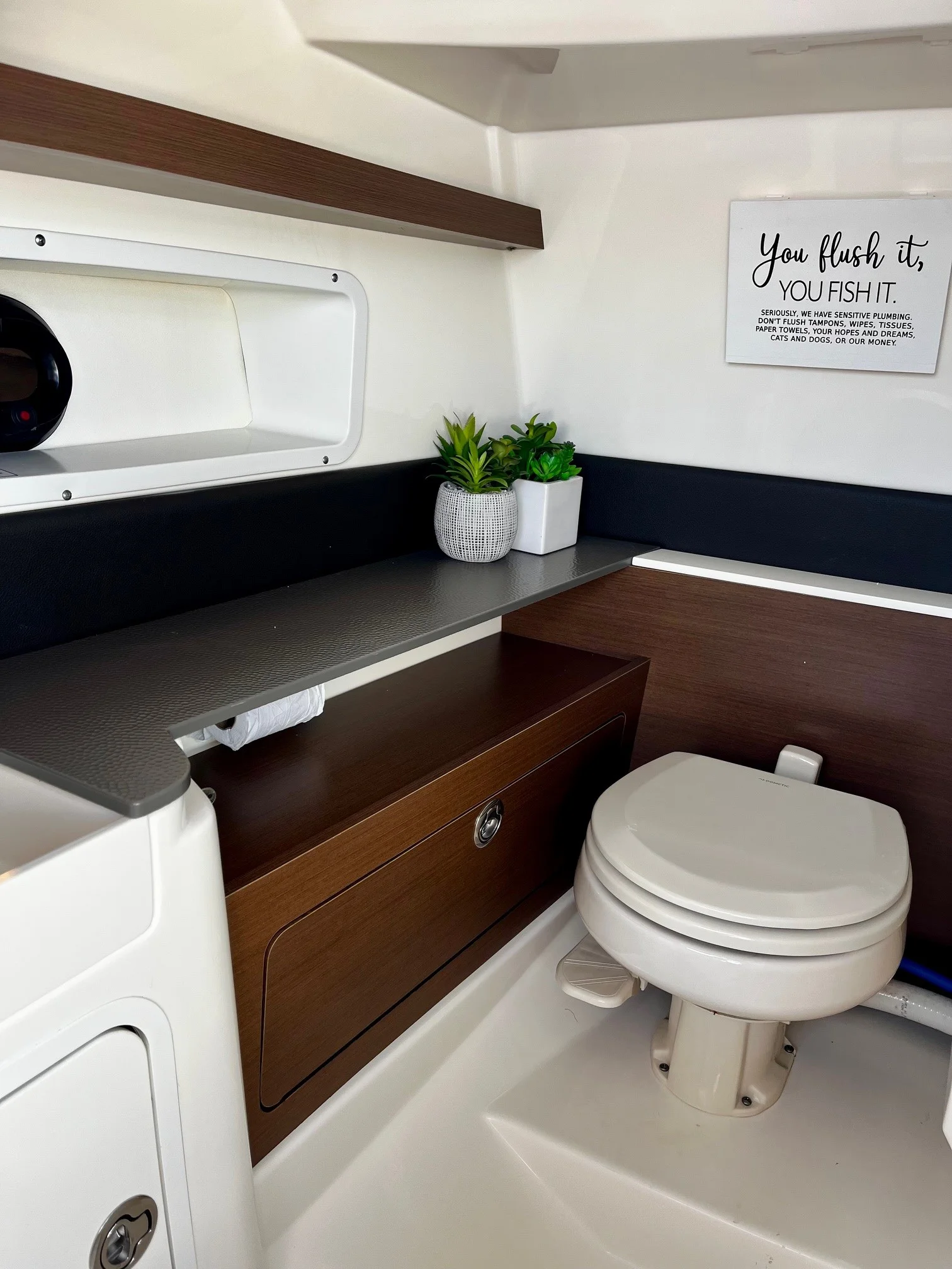 2020 Sea Ray 290 SDX-OB Image Thumbnail #11