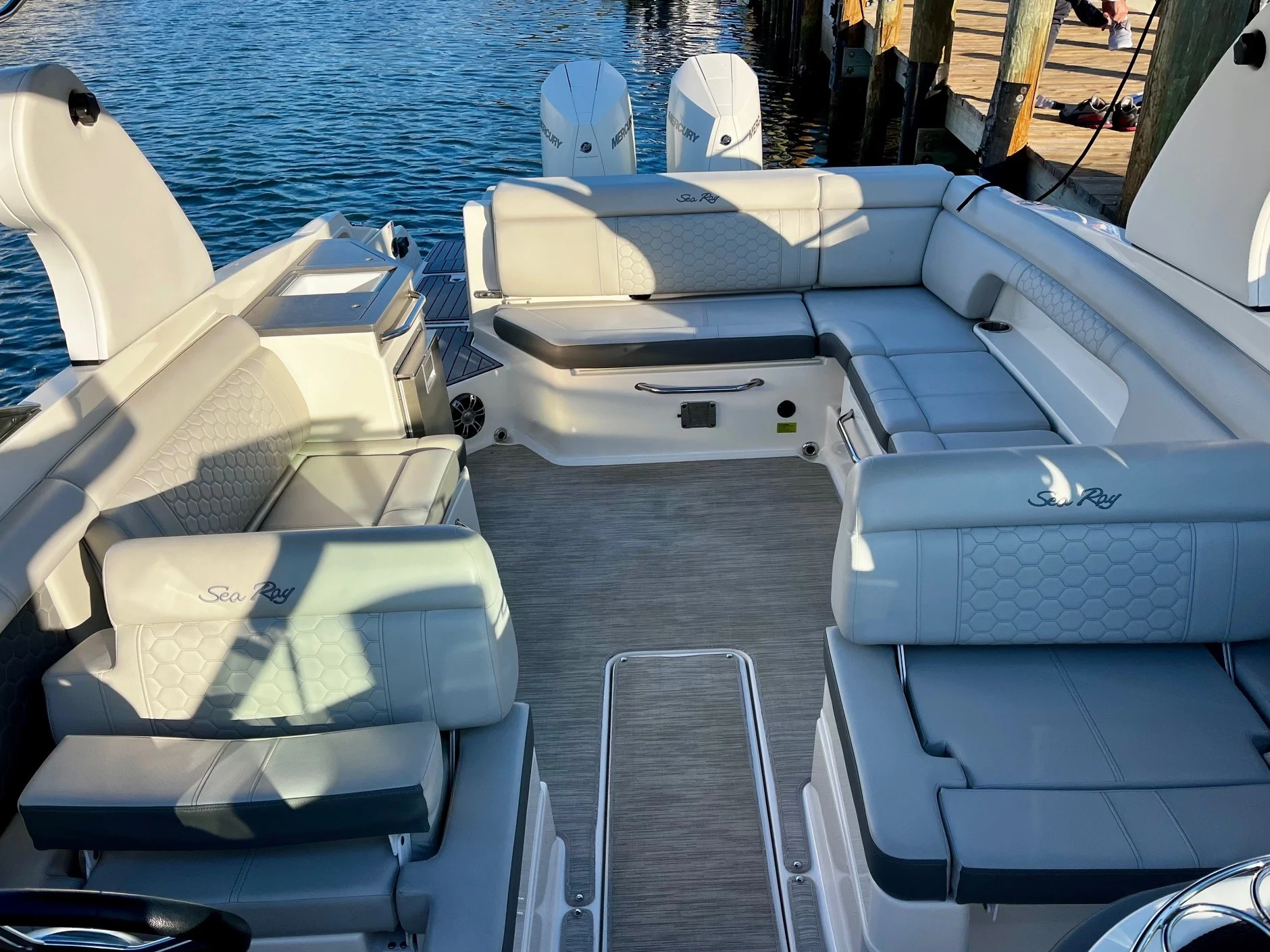 2020 Sea Ray 290 SDX-OB Image Thumbnail #8