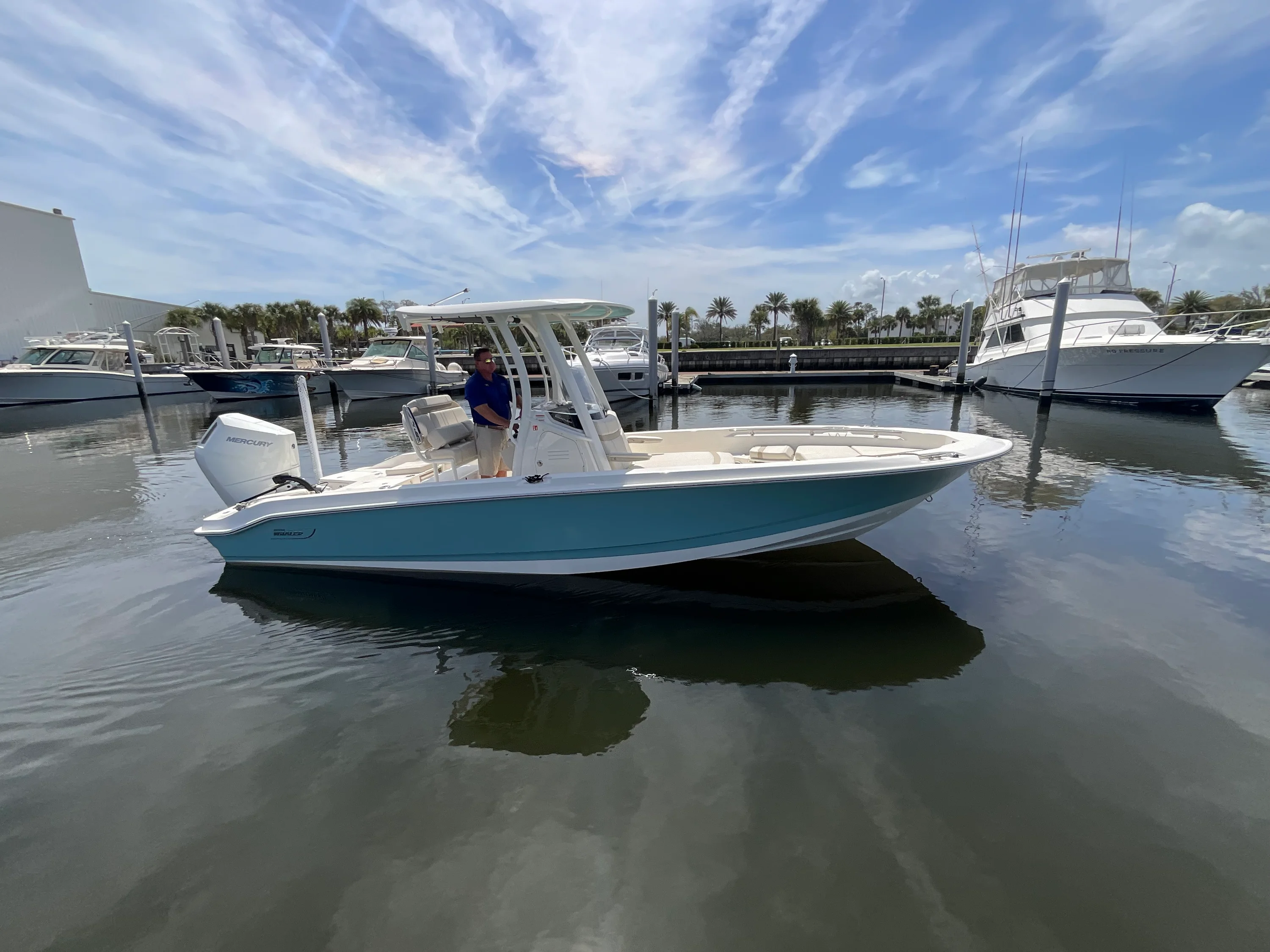 2026 Boston Whaler 250 Dauntless Image Thumbnail #1