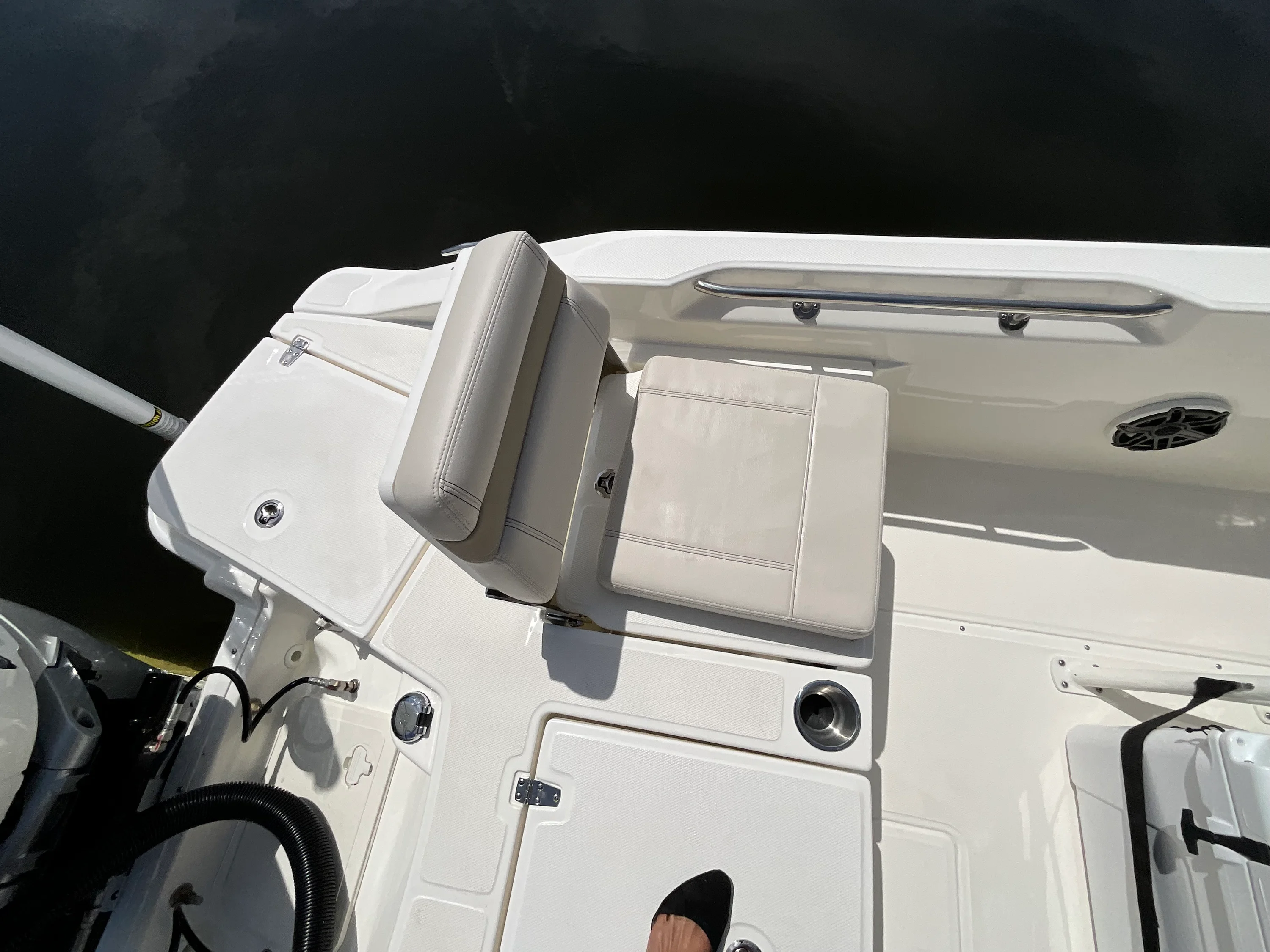 2026 Boston Whaler 250 Dauntless Image Thumbnail #10