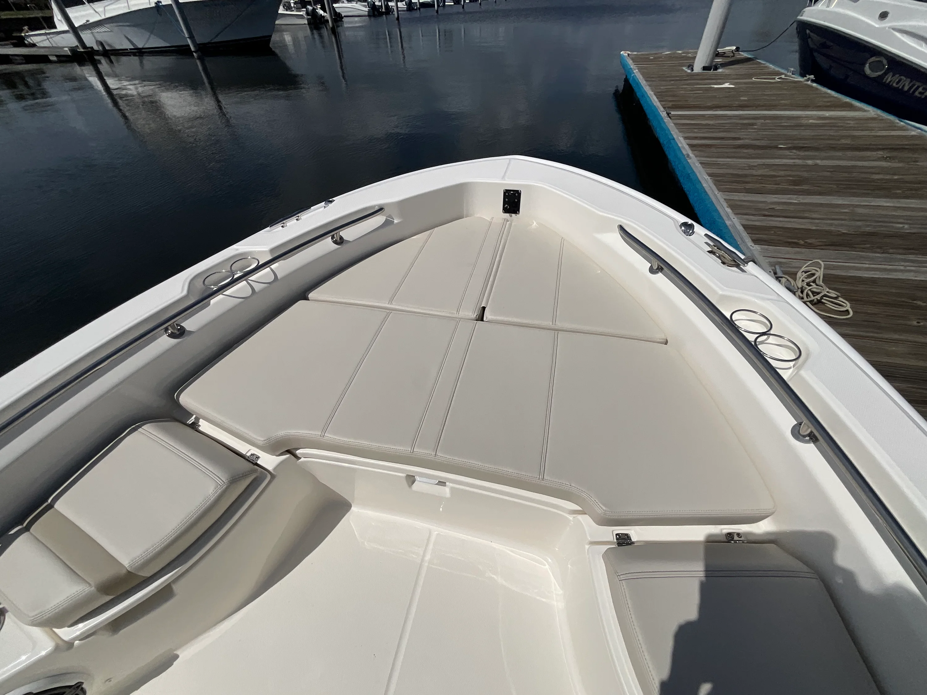 2026 Boston Whaler 250 Dauntless Image Thumbnail #13