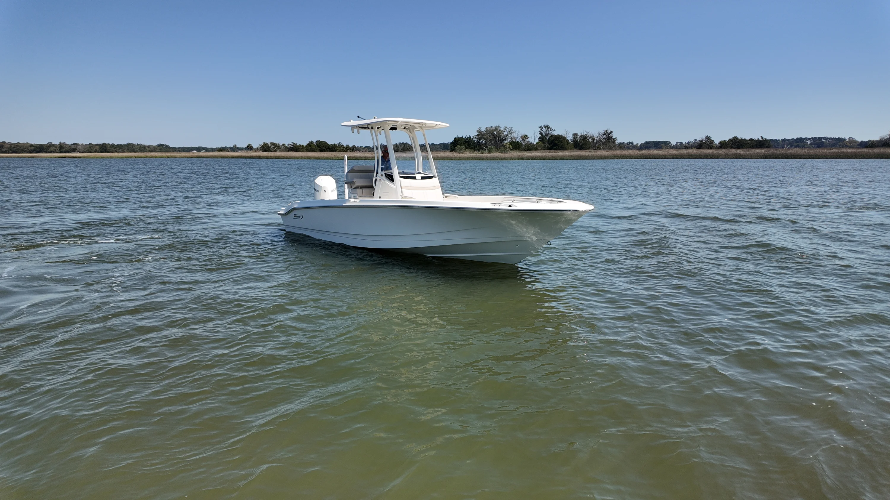 2026 Boston Whaler 250 Dauntless Image Thumbnail #2