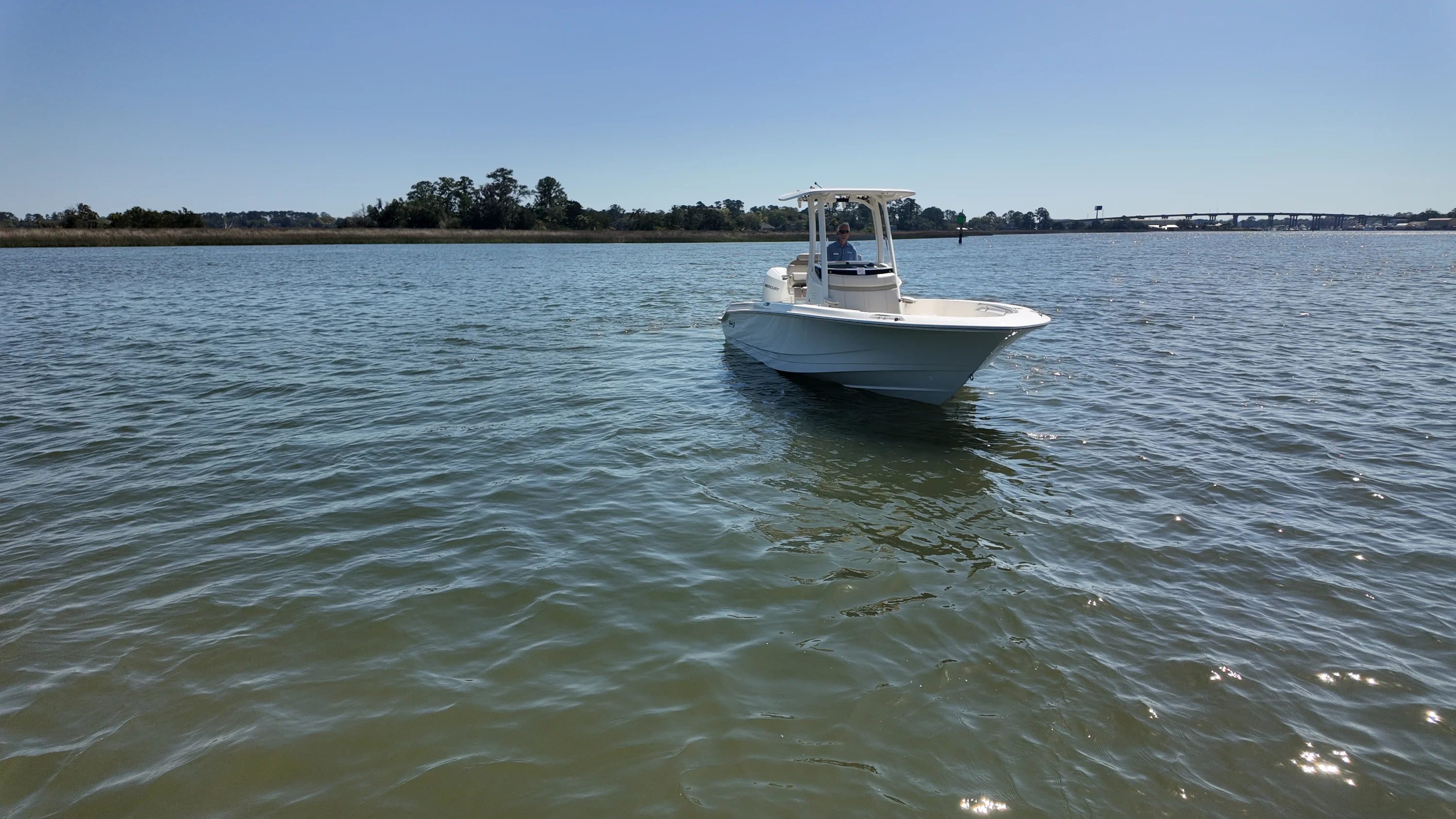 2026 Boston Whaler 250 Dauntless Image Thumbnail #24
