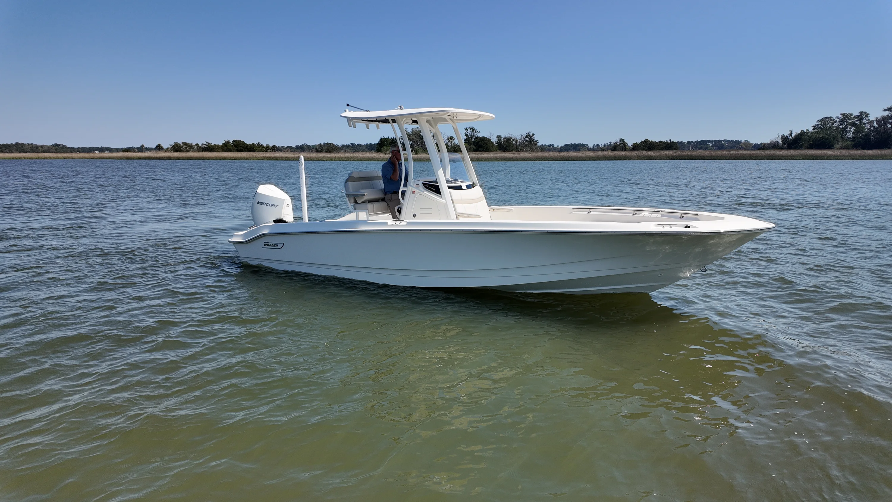 2026 Boston Whaler 250 Dauntless Image Thumbnail #1