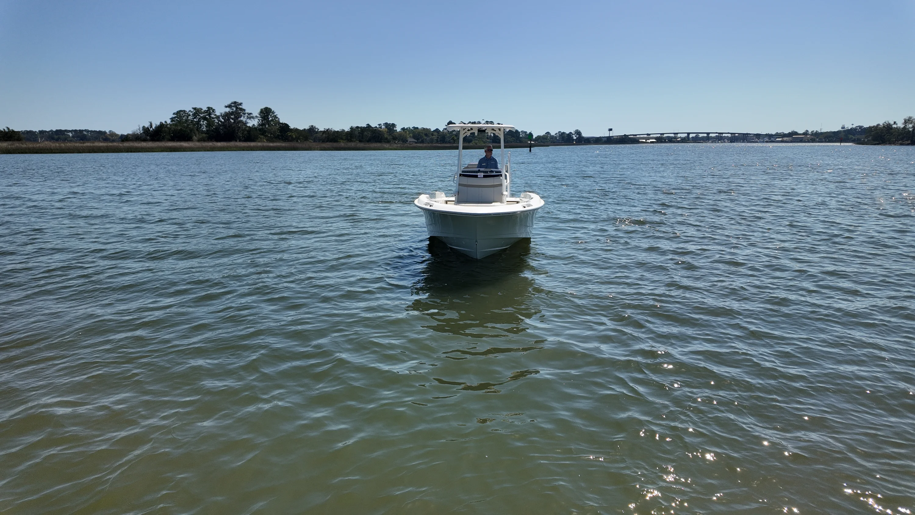 2026 Boston Whaler 250 Dauntless Image Thumbnail #23