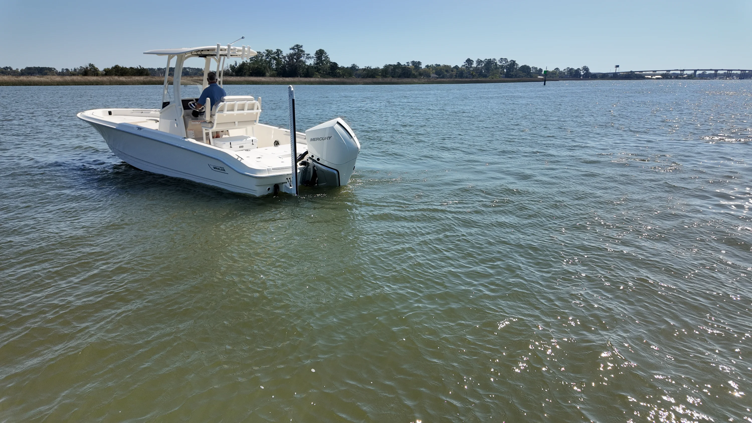 2026 Boston Whaler 250 Dauntless Image Thumbnail #3