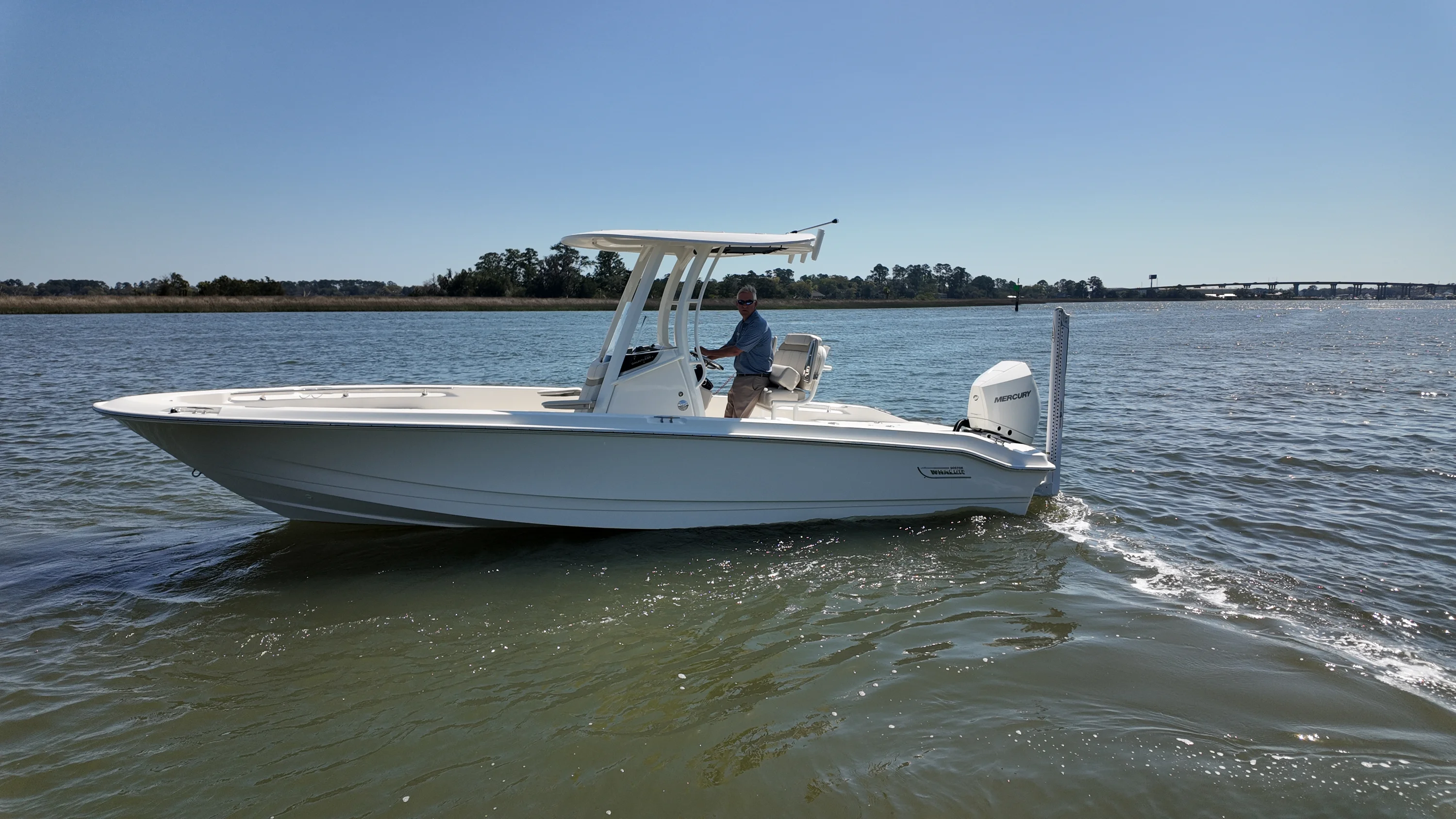 2026 Boston Whaler 250 Dauntless Image Thumbnail #25