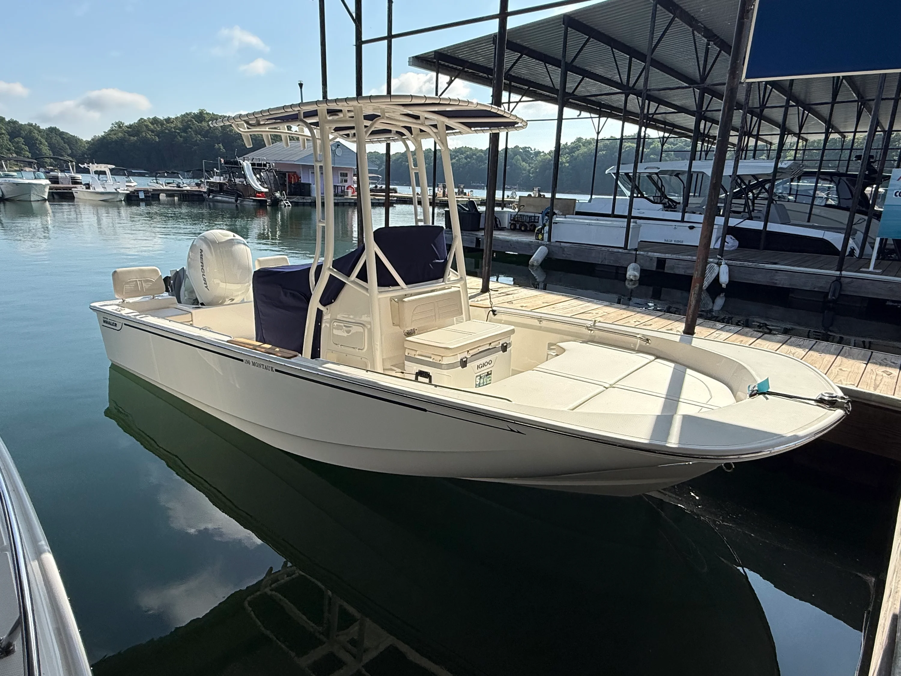 2026 Boston Whaler 190 Montauk Image Thumbnail #0