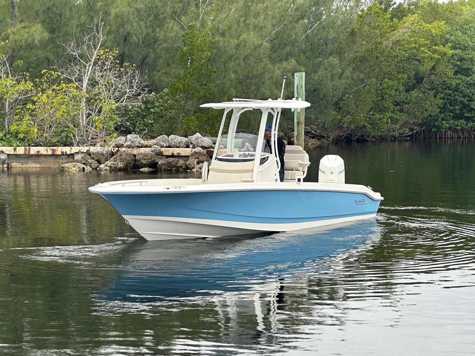 2026 Boston Whaler 250 Dauntless Image Thumbnail #1