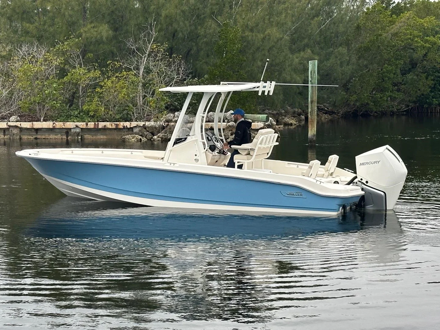 2026 Boston Whaler 250 Dauntless Image Thumbnail #12