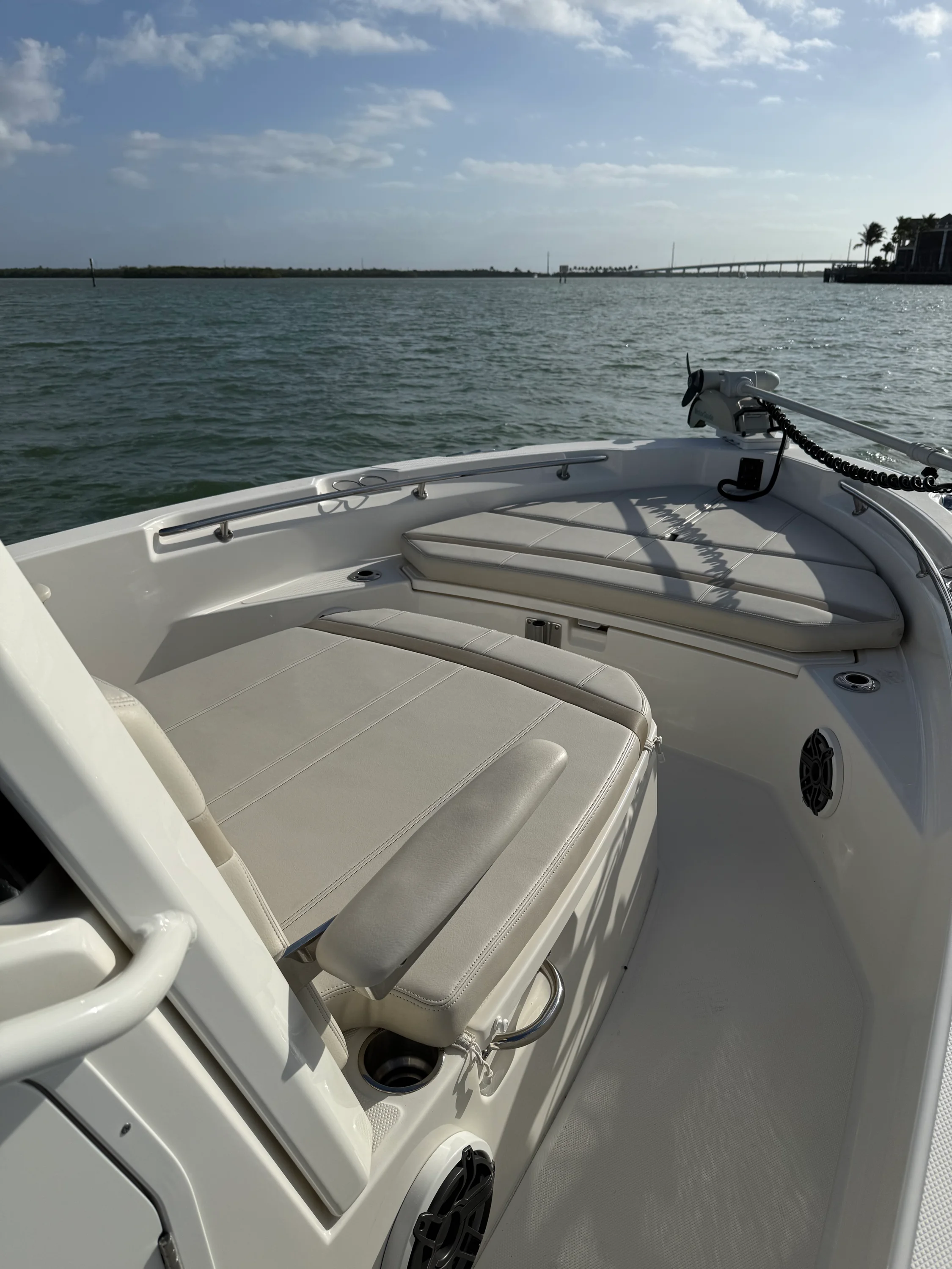 2023 Boston Whaler 220 DAUNTLESS Image Thumbnail #17
