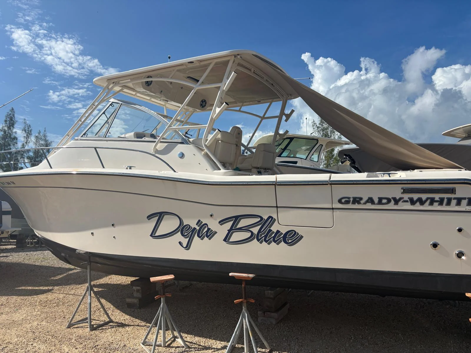 2023 Grady-White 330 EXPRESS Image Thumbnail #35