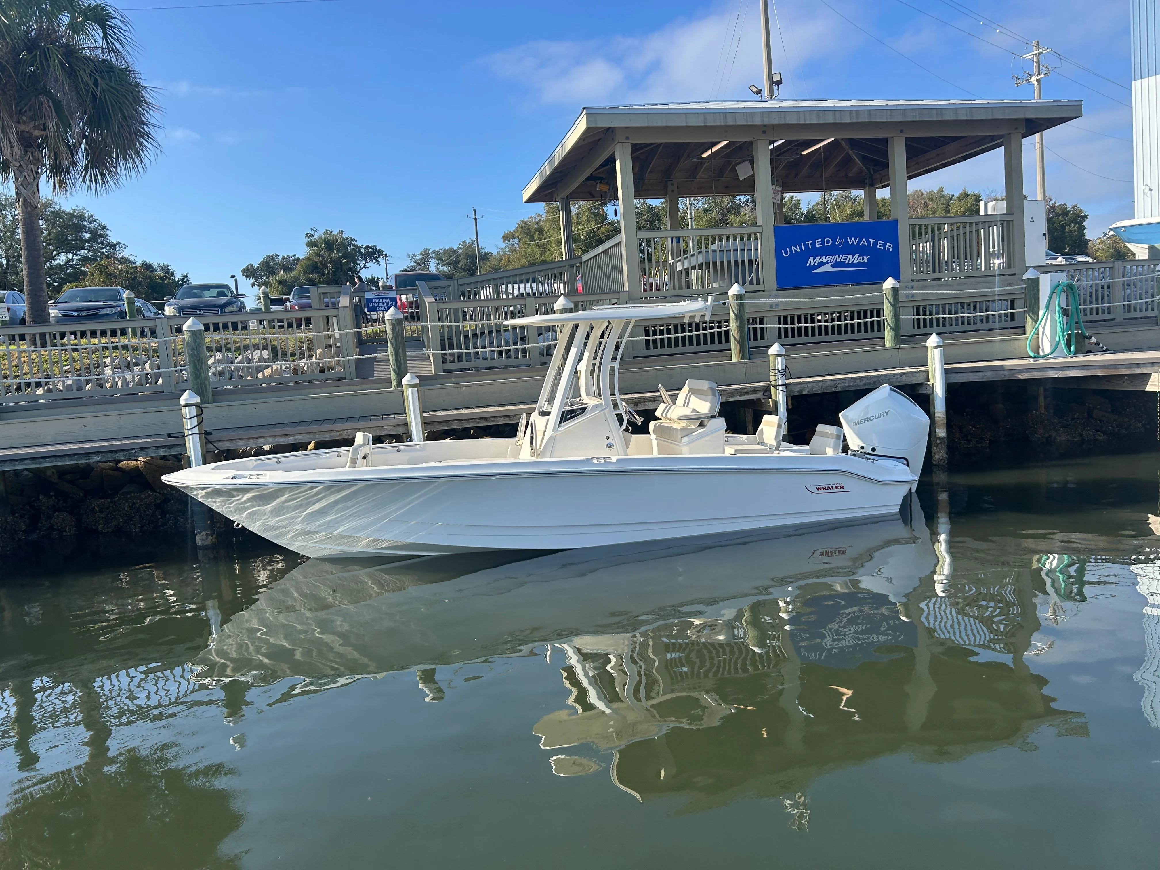 2026 Boston Whaler 250 Dauntless Image Thumbnail #3