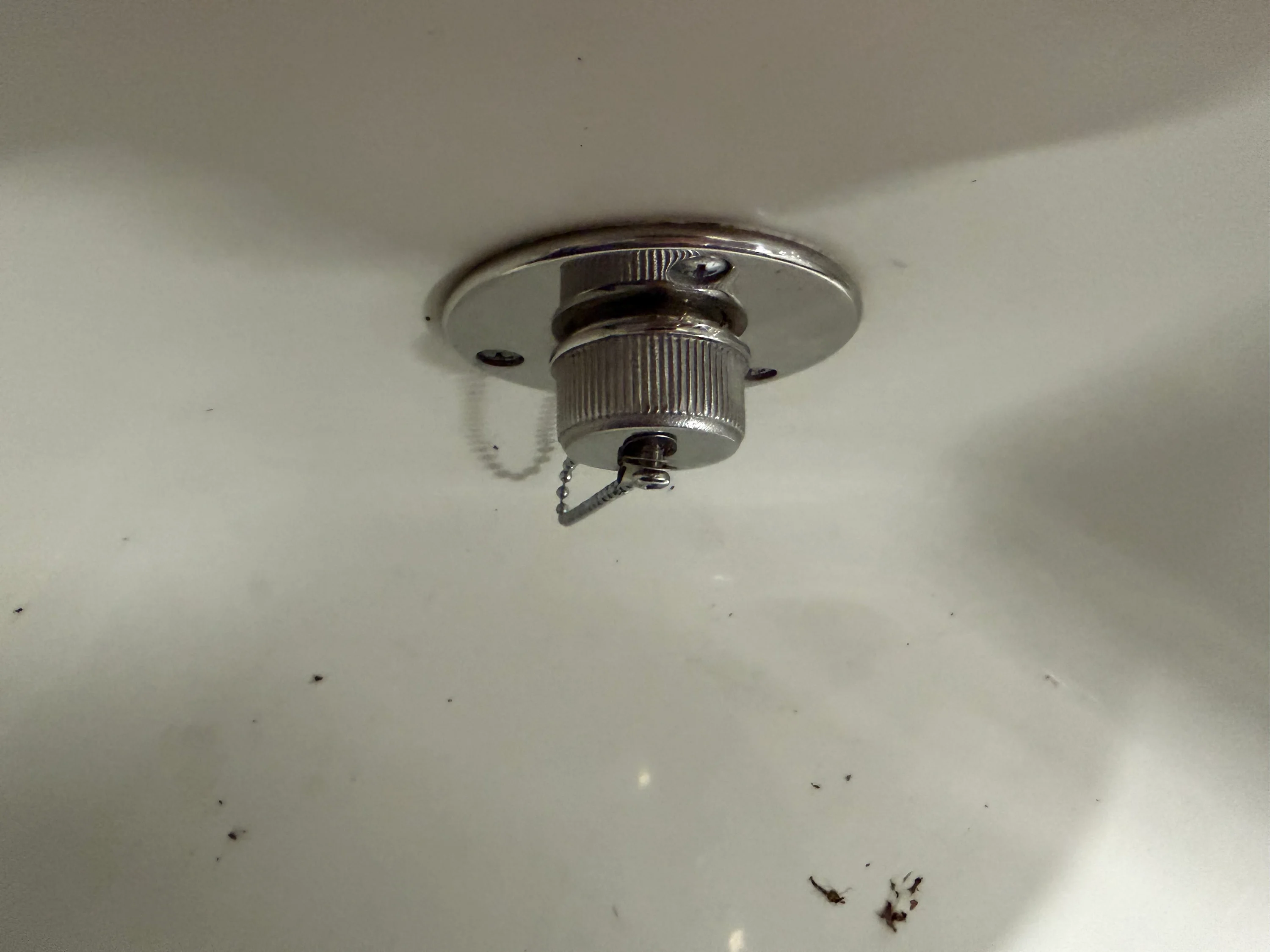 2019 Sailfish 275 DC Image Thumbnail #18